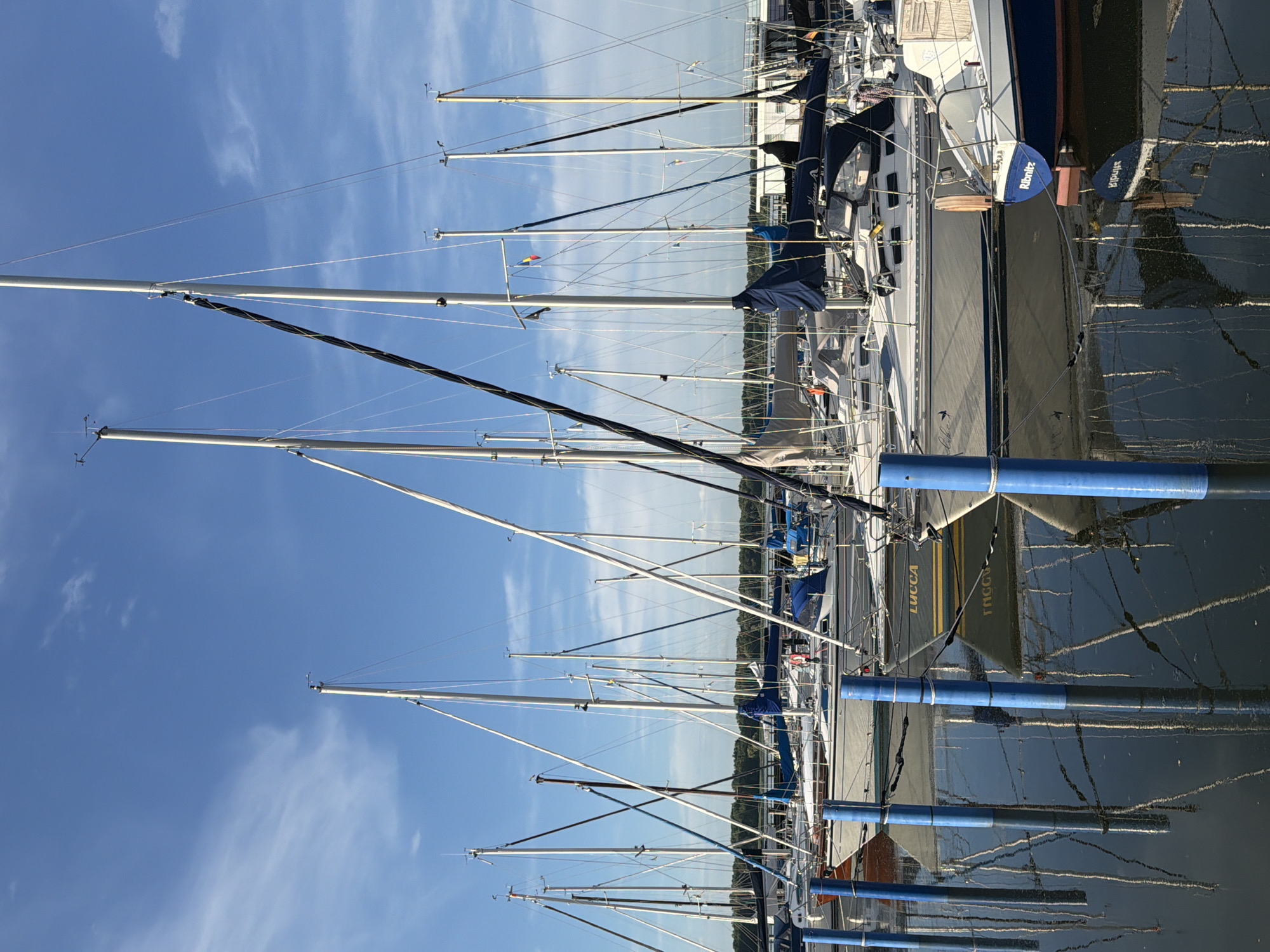 This is a landscape-oriented photograph of several sailboats docked in a marina. The image is vertically oriented. The sky is clear and blue with wispy white clouds. The boats are lined up side-by-side, with their masts extending upwards, creating a pattern of vertical lines against the sky. The water is calm and reflects the masts and rigging of the boats.
One of the sailboats has the name "LUCCA" written on its hull in yellow lettering. Another boat has the name "Ribnitz" on a blue sign hanging from its stern. The overall scene suggests a sunny day, possibly in the late morning or early afternoon, given the bright lighting. The location is likely Ribnitz-Damgarten, Germany, as indicated by the text on one of the boats. There are no people visible in the image, but the presence of docked sailboats suggests a recreational boating area. The image captures a peaceful and serene atmosphere of a marina on a clear day.