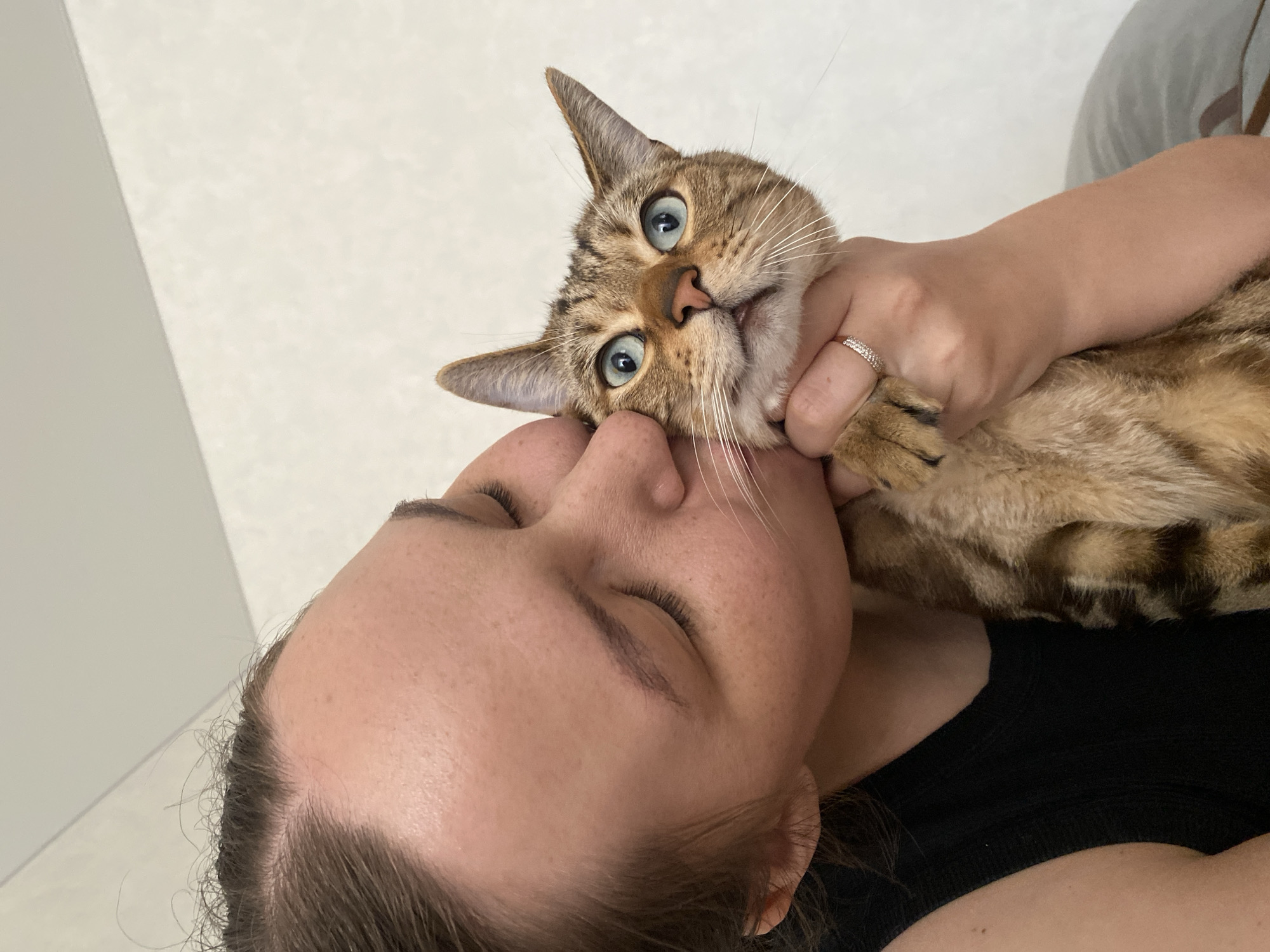 A person is kissing a cat. The person's eyes are closed and their head is tilted towards the cat. The cat is looking directly at the camera with its mouth slightly open. The person is wearing a black top, and the cat has brown and black tabby markings. A ring with small stones is visible on the person's finger. The background is a plain, light-colored wall with a slight texture. There is no indication of the location being the city of Chaikovsky, Russia.