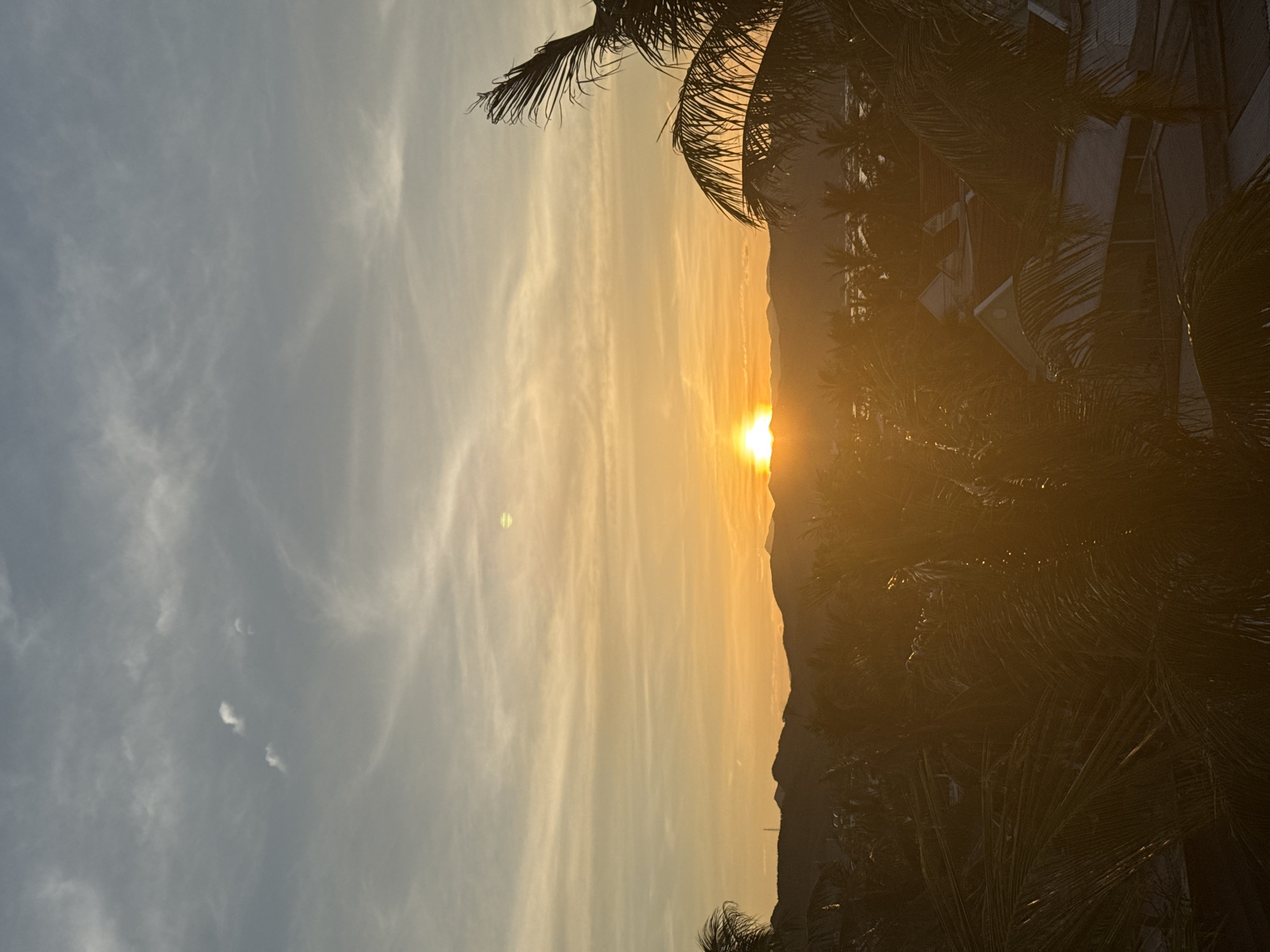 The image captures a sunset over the city of Song Cau, Vietnam. The sun, a bright orange orb, is low on the horizon, partially obscured by silhouetted mountains in the distance. The sky is a gradient of warm hues, transitioning from yellow and orange near the sun to a pale blue at the top, with wispy clouds streaked across. In the foreground, the silhouettes of palm trees dominate the lower half of the image, their fronds casting shadows. Among the trees, rooftops of houses are visible, suggesting a populated area. The overall atmosphere is serene, with the natural beauty of the sunset contrasting with the man-made structures of the city.