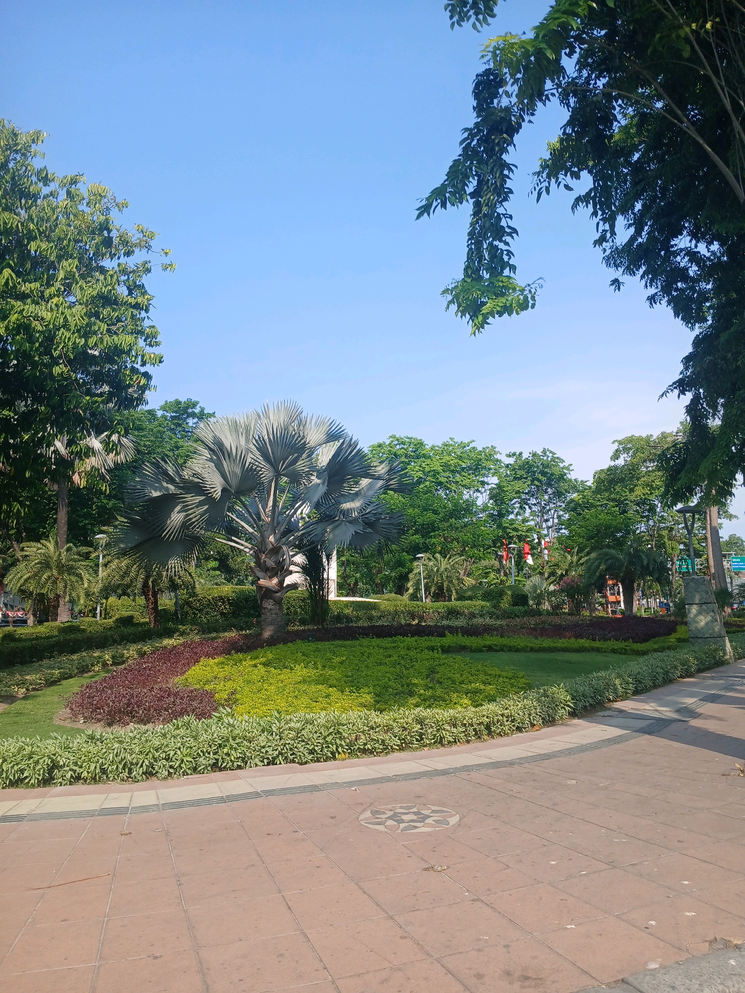 The image depicts a scenic park scene on a clear day with a bright blue sky. In the foreground, a wide, paved pathway made of tan and grey tiles curves to the right. A decorative circular inlay is visible in the pathway. Beyond the pathway, a meticulously landscaped garden area features a variety of plants and trees.
Dominating the center of the garden is a large, striking fan palm tree with silvery-grey fronds. Surrounding the palm are well-maintained beds of vibrant green grass and rows of darker, reddish-purple foliage, creating a tiered effect. A shorter hedge of light green, variegated plants borders the pathway.
In the background, a dense collection of various trees with lush green foliage forms a backdrop. Some taller trees are interspersed with the lower canopy. Red and white flags are visible among the trees in the distance, possibly indicating a national holiday or event. Streetlights and a lamppost are present in the garden. On the far right, a section of a stone pillar with a textured surface and a signpost is visible, suggesting the park is adjacent to a road.
The image appears to be taken in a public park within the city of Surabaya, Indonesia, given the presence of tropical vegetation, the style of landscaping, and the potential for local cultural indicators such as the flags. The scene is peaceful and well-kept, suggesting a popular recreational area. No people are visible in the frame.
