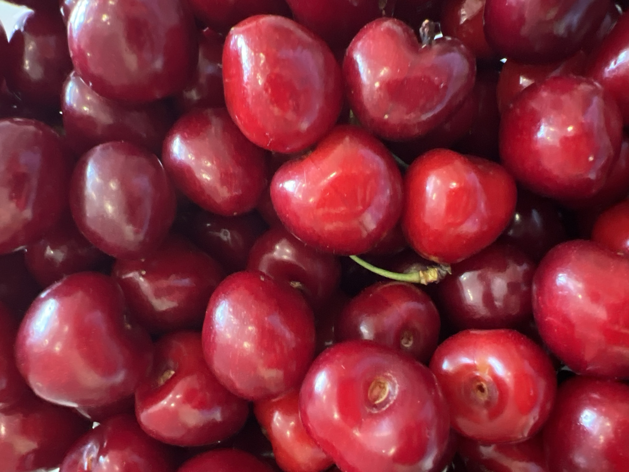 A close-up image shows a pile of ripe, red cherries. The cherries fill the entire frame, appearing glossy and plump. Some cherries display slight variations in shape, including some with a distinct heart-like form. A small section of stem is visible among the cherries. The setting or presence of Podgorica, Montenegro cannot be inferred from this image.