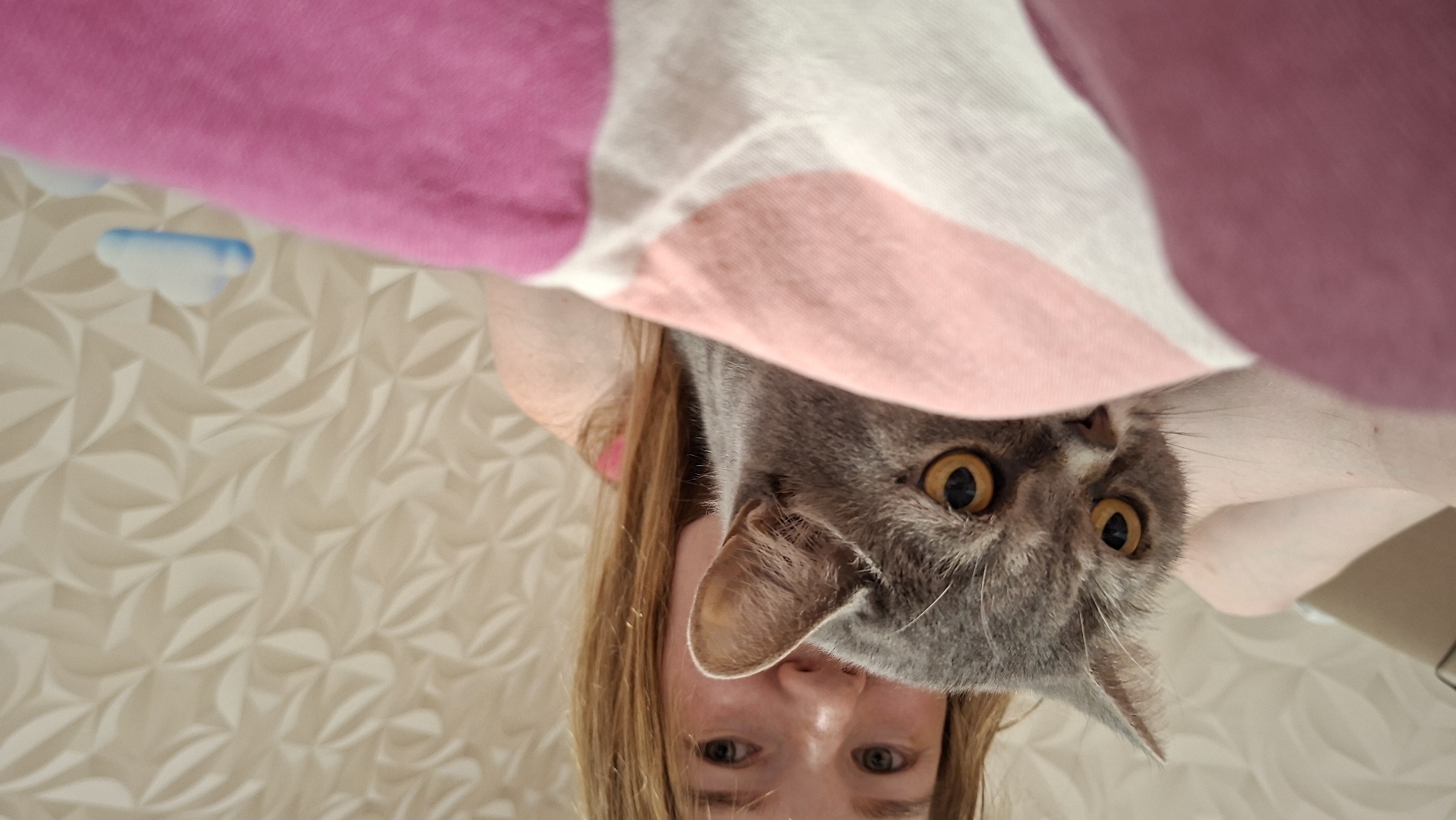 In Chaikovsky, Russia, a young Caucasian girl with blonde hair is peeking over the head of a grey cat with amber eyes. The girl is wearing a pink top. The cat's face is the most prominent feature, with its head slightly tilted and its gaze directed forward. They appear to be in a relaxed, indoor setting. The background consists of a textured wall and a pink and white patterned blanket or fabric in the foreground, obscuring part of the subjects. A small, blurry cloud decoration is visible on the right side of the background.