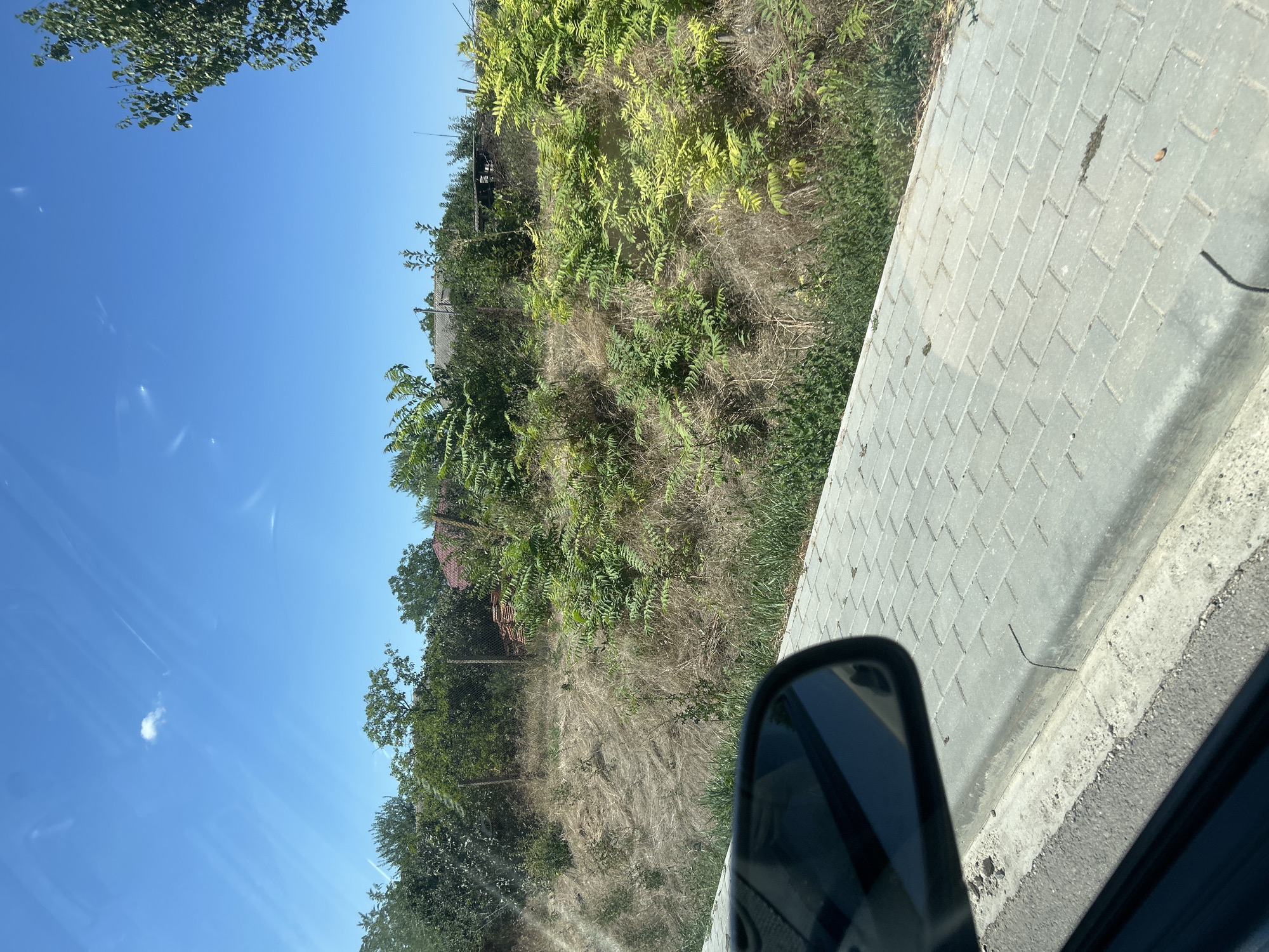 This image, captured from inside a vehicle, shows a view of a sidewalk, a grassy slope, and vegetation with houses in the background. The sidewalk is paved with light gray rectangular blocks and has a concrete curb. To the right of the sidewalk, a grassy area transitions into a dry, overgrown slope populated with green plants and some dry grass. A wire fence runs along the top of the slope. In the distance, several houses with red-tiled roofs are visible amongst dense green trees. The sky is clear and blue with a few wispy clouds. A reflection of the car's side mirror is visible in the lower left corner of the image. The scene appears to be in a rural or semi-rural area, possibly within the village of Cioc-Maidan, Moldova, given the characteristic residential structures and vegetation. There are no people or animals present in the frame.