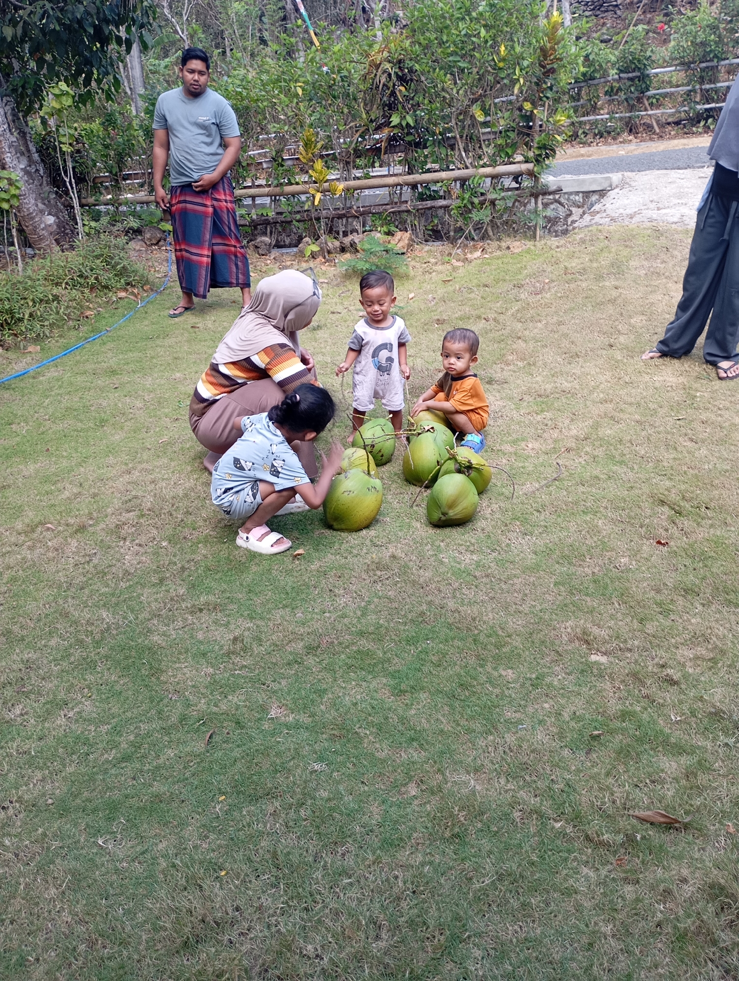 A medium-wide shot captures a family interacting with coconuts on a grassy lawn in Ketepung, Indonesia. In the background, a man stands wearing a light blue t-shirt and a red, blue, and black checkered sarong. He is looking towards the viewer. In the foreground, a woman wearing a light brown hijab and an orange, brown, and white striped shirt is kneeling. In front of her, a young girl wearing a light blue short-sleeved shirt with white cartoon animals and white shorts, and pink sandals, is crouching and looking at a pile of coconuts. To the right of the woman, a toddler wearing a white t-shirt with a gray "G" logo is standing. Next to the toddler, another young boy wearing an orange t-shirt is squatting amidst a pile of several green coconuts. The environment is outdoors with lush green grass and some trees and foliage in the background. A wooden fence runs horizontally behind the man.