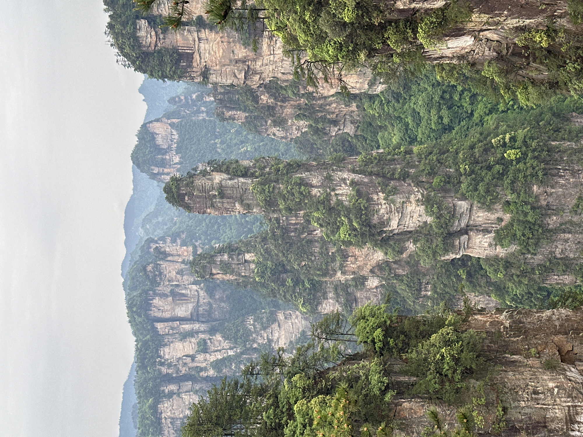 The image shows a view of sandstone pillar mountains in Zhangjiajie National Forest Park, located near the city of Luoguta, China. The pillars are heavily forested with green trees and vegetation clinging to the rock faces. The sandstone pillars are arranged in layers, with varying heights and sizes. In the distance, haze and mist obscure some of the further ranges of peaks. The sky is overcast and grey.