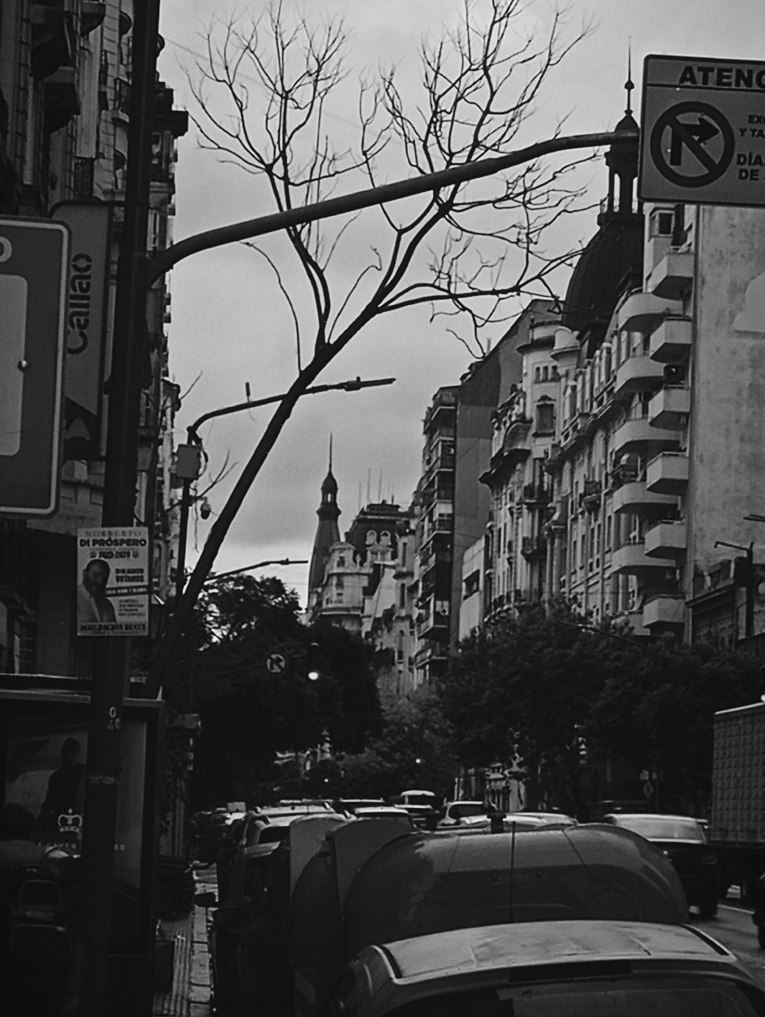 This black and white photograph captures an urban street scene in Buenos Aires, Argentina, under an overcast sky. The image is dominated by the skeletal, bare branches of a tree in the foreground, stretching across the frame against the bright sky.
On the left, a tall building with multiple stories and balconies lines the street. Various street signs are visible, including one partially obscured sign that reads "Callao" vertically. Below it, a poster features a man with text "NORBERTO DI PROSPERO" and what appears to be "2021" and other illegible text, likely an election poster or advertisement. A figure is dimly visible through a storefront opening on the lower left.
On the right side of the street, more multi-story buildings with intricate facades and balconies are visible, extending into the background. Some of these buildings feature architectural details like domed or spired rooftops, characteristic of European-influenced architecture found in Buenos Aires. A street sign in the upper right corner reads "ATENC..." and shows a "no right turn" symbol, with partial text below it like "EX", "Y TA", "DIA", and "DE", likely indicating traffic restrictions for specific vehicles or days.
The lower part of the image shows a street crowded with cars, some parked and others possibly in traffic. A truck is partially visible on the far right. The overall atmosphere is quiet, typical of a city street on an overcast day, with no obvious specific events taking place beyond routine urban activity. The scene evokes a sense of timelessness due to the black and white rendering and the classic architectural styles.