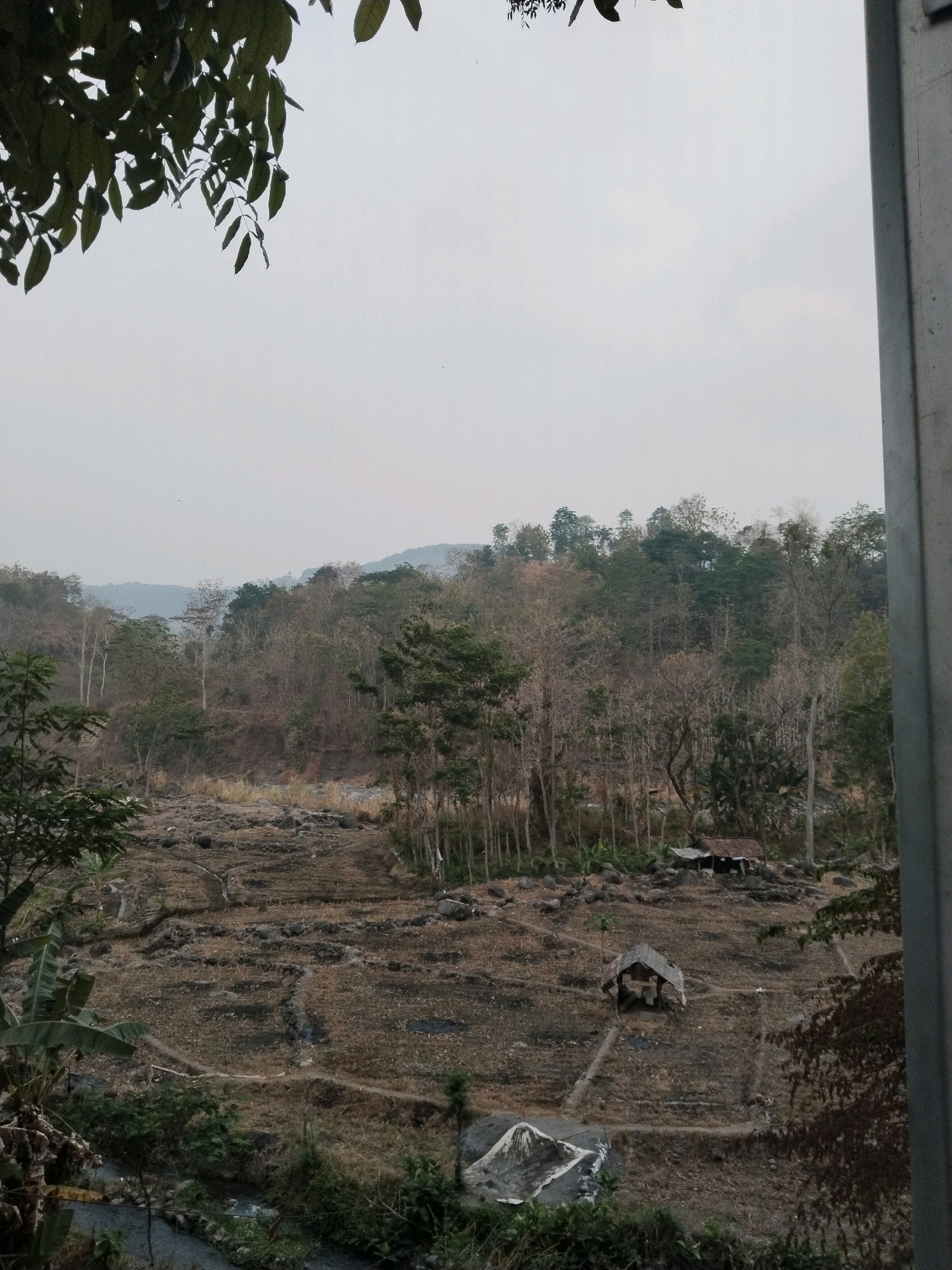 The image shows a panoramic view of a rural landscape. The foreground features vegetation including large-leaved plants and foliage from trees. In the mid-ground, a terraced field is visible, appearing dry and with evidence of cultivation, marked by pathways and irrigation channels. A small, simple hut with a thatched roof is situated on one of the terraces. Further into the mid-ground and background, a dense forest covers rolling hills and mountains. The sky is overcast, with a pale, diffused light. The scene conveys a sense of a dry, natural environment, possibly during a dry season, with evidence of human habitation and agriculture. The location is identified as Sangkanjaya, Indonesia.