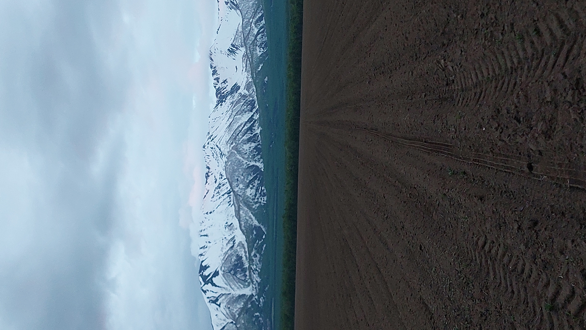The image depicts a panoramic view of a snow-capped mountain range in the background, likely the Klyuchevskaya Sopka or a neighboring volcano given its proximity to Lesnoi, Russia, a town situated in the Kamchatka Krai region known for its volcanic activity. In the foreground, a dark, tilled field stretches out, showing clear tire tracks from agricultural machinery. The sky is overcast with heavy, gray clouds, suggesting a cool, possibly damp climate. The absence of any people or discernible structures suggests this is a rural or undeveloped area.