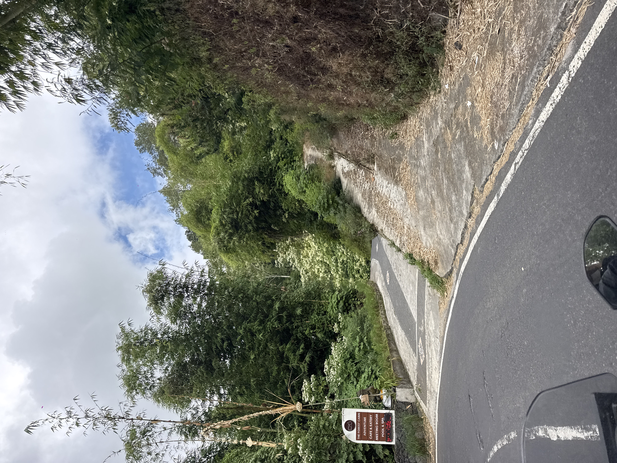 The image shows a curved asphalt road in Kintamani, Indonesia. To the left of the road, there is a sign that reads "THE FOREST CABIN" and lists amenities such as "ADVENTURE", "CAFE & EATERY", "MEETING ROOM", and "POOL & SPA". The sign also indicates it is "Managed by Modoori Bali". Adjacent to the sign is a small statue and some decorative bamboo. The road leads uphill into a lush green area with dense bamboo and other foliage. The sky is overcast with some patches of blue. The road surface has some visible cracks and wear.
