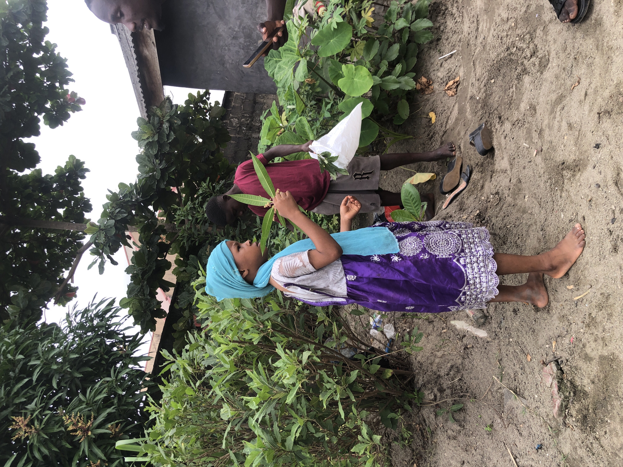 In Ado, Nigeria, an outdoor scene unfolds with three individuals near lush greenery and a building with a corrugated metal roof. A young girl, positioned in the foreground on the left, is adorned in a light blue headscarf and a purple and silver dress. She holds a few green leaves in her right hand and looks to her right. To her right, a young boy, wearing a maroon t-shirt and gray shorts with a visible 'R' logo, holds a white plastic bag and a branch with leaves in his left hand. His gaze is directed downwards. Partially visible on the far right is a man, viewed in profile, holding a dark-colored smartphone in his right hand. The ground is sandy and appears to be a dirt path, scattered with leaves and some discarded items, including a pair of black sandals. The background is dominated by dense foliage and the side of a building, suggesting a residential or urban fringe environment.