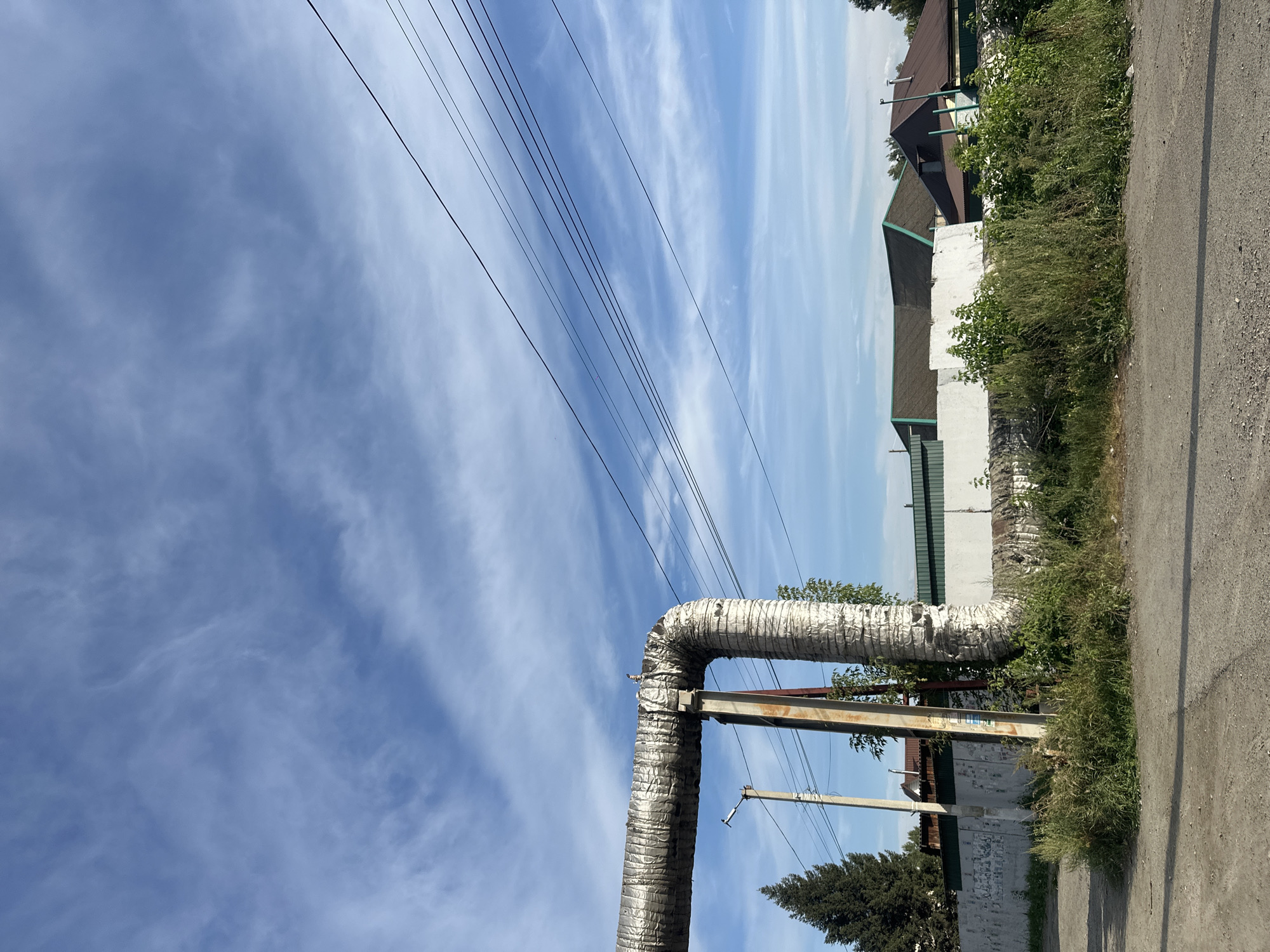 The image depicts an outdoor scene in Biysk, Russia, dominated by a large, insulated pipe supported by metal poles. The pipe runs horizontally across the frame, bending downwards in the center. A tall evergreen tree stands to the left of the pipe. In the background, a white fence is visible, adorned with numerous posters or flyers. Beyond the fence, several residential buildings with pitched roofs are present, along with more greenery and power lines stretching across the sky. The sky is a clear blue with scattered white, wispy clouds. The foreground is a dirt and gravel path. The lighting suggests it is daytime, with the sun casting shadows. There are no people or animals visible in the image.