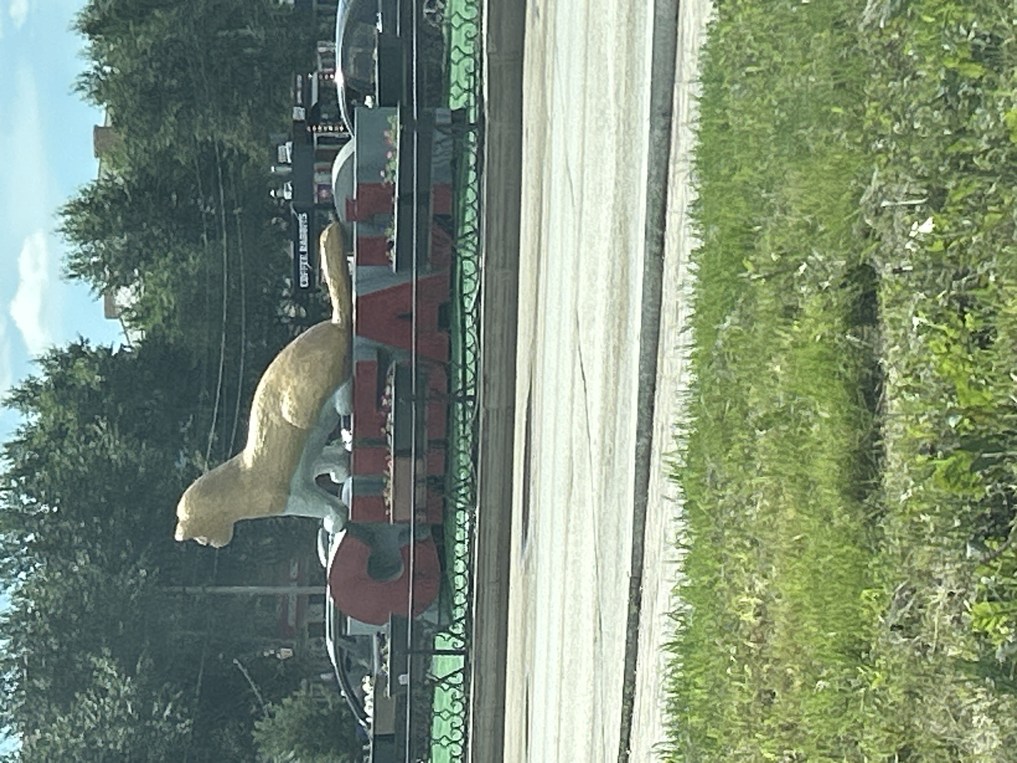 A large, golden sculpture of a cougar or lion is perched atop a red and gray sign in Sibay, Russia, with "CHE" clearly visible in large red letters. The sculpture faces to the left, with its head turned upwards. The sign appears to be an entrance feature, as a black metal fence with decorative elements runs along its base, separating it from a paved road in the foreground. Beyond the sign, lush green trees form a dense backdrop, with some buildings and a blue sky visible through the foliage. A few cars are parked or driving in the background. The foreground is dominated by a stretch of green grass, suggesting an outdoor setting. The image seems to be taken from a slightly elevated position, possibly from a vehicle, as indicated by the perspective.