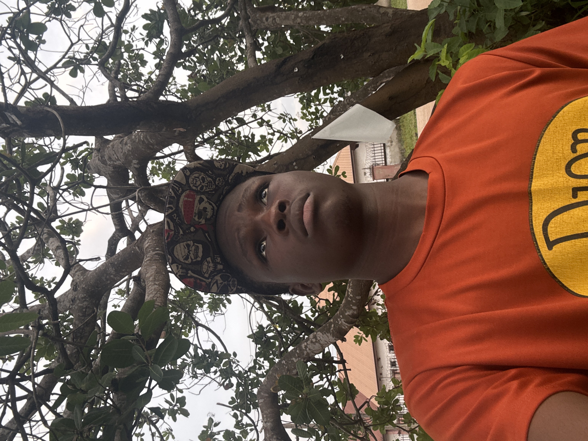 The image features a close-up portrait of a young person positioned outdoors, looking upwards. The subject, who has dark skin, wears a patterned cap, possibly a durag or bandana, adorned with skull motifs in black, white, and red. They are also wearing an orange short-sleeved t-shirt that displays a large, yellow circular logo on the right side of the chest. The visible text on the logo clearly reads "BASS," characteristic of the "Bass Pro Shops" brand.
The background is dominated by the branches and green leaves of a tree, suggesting the person is standing underneath it. Glimpses of an overcast or cloudy sky are visible through the foliage. In the mid-ground, blurred architectural elements, including parts of light-colored building walls and a metal railing or gate, are discernible, hinting at an urban or semi-urban environment.
The lighting is soft and diffused, indicative of a cloudy day or a period without direct sunlight. The person's expression is neutral to slightly contemplative. The image's perspective is an upward-looking shot, focusing on the subject's face and the natural canopy above. This scene is set in Ihiagwa, Nigeria.