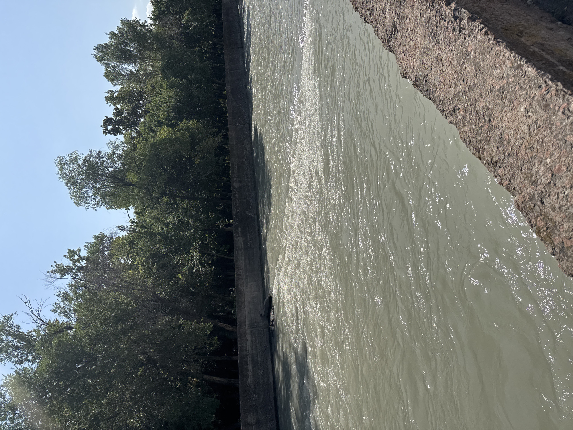 In Bishkek City, Kyrgyzstan, this image captures a view of a canal with a concrete embankment. Lush green trees line the far bank of the canal, their foliage dense and casting shadows. The water in the canal is murky and appears to be flowing, with visible ripples and reflections of sunlight. In the middle of the canal, a dark, amorphous object is partially submerged, creating a disturbance in the water around it. The foreground features a rough, textured concrete edge, suggesting it is part of the canal's infrastructure. The sky above is clear and blue.