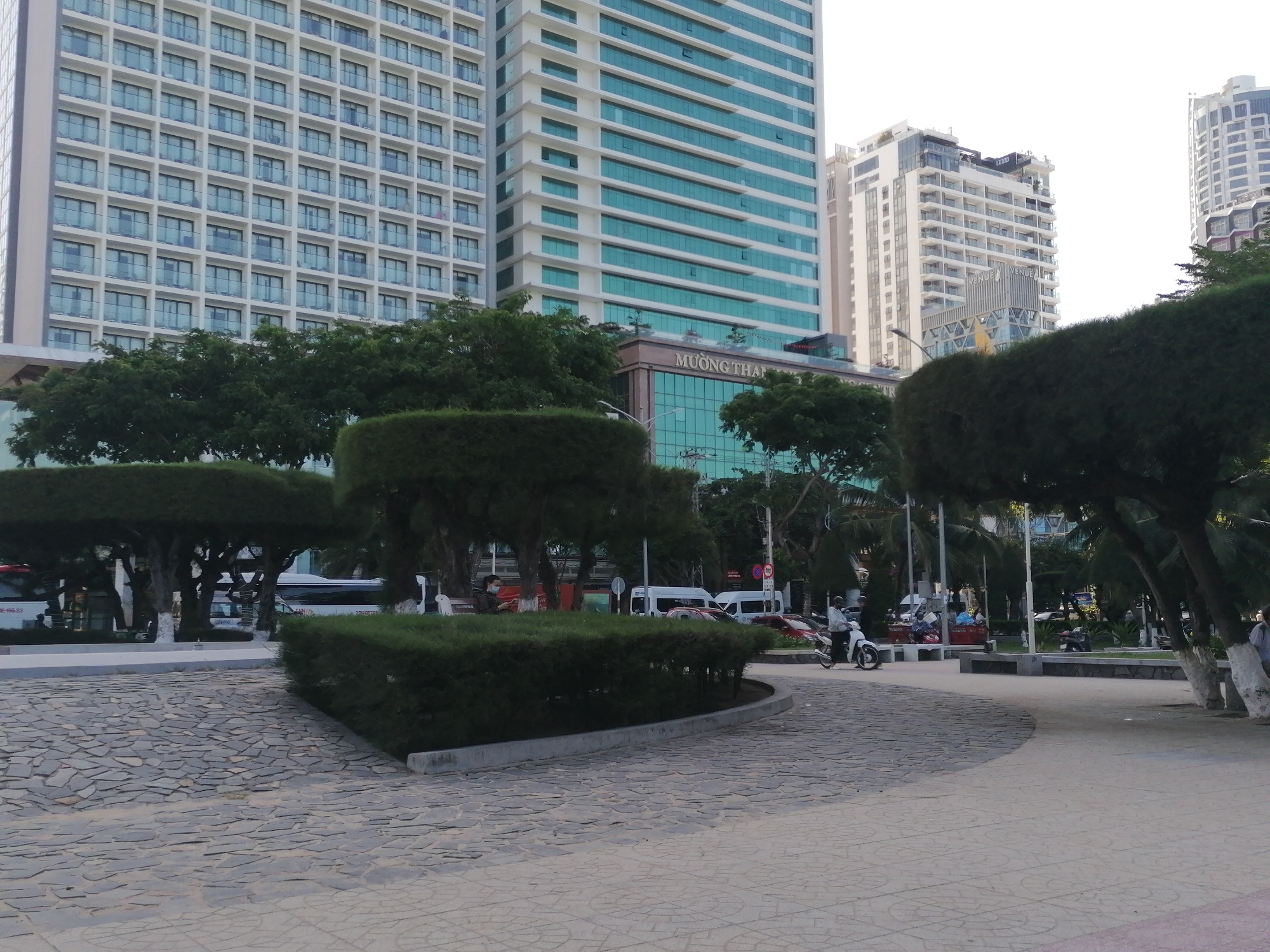 The image captures a view of a city street in Nha Trang Ward, Vietnam. In the foreground, there is a paved area with stone patterns. Low, boxy hedges line the path. Beyond the hedges, there are trimmed trees with broad canopies.
In the background, there are multiple tall buildings. One is a light-colored building with numerous windows and balconies. Another building has a turquoise glass facade, and a sign that reads "MUONG THANH" is visible on top.
In the mid-ground, there is a person riding a scooter on the road. Busses and vans are parked along the street. People are sitting on benches.