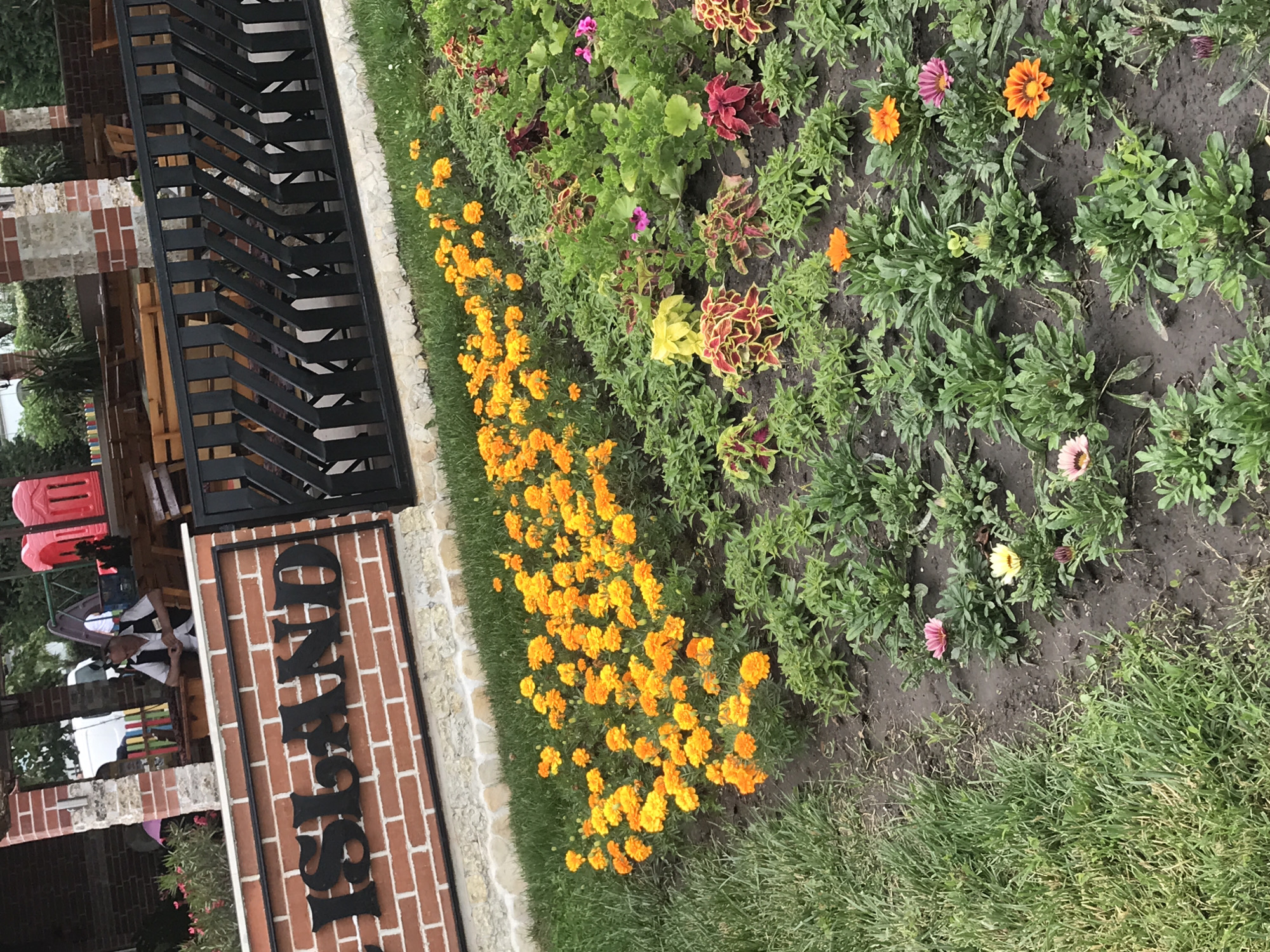 The image depicts an outdoor seating area adjacent to a brick wall with the word "ISLAND" inscribed in black metal letters. A black metal fence separates the seating area from a flower bed containing numerous orange marigolds and other flowering plants. In the background, several people are visible, with one man in the foreground seated at a table. The scene appears to be a cafe or restaurant in Varna, Bulgaria.