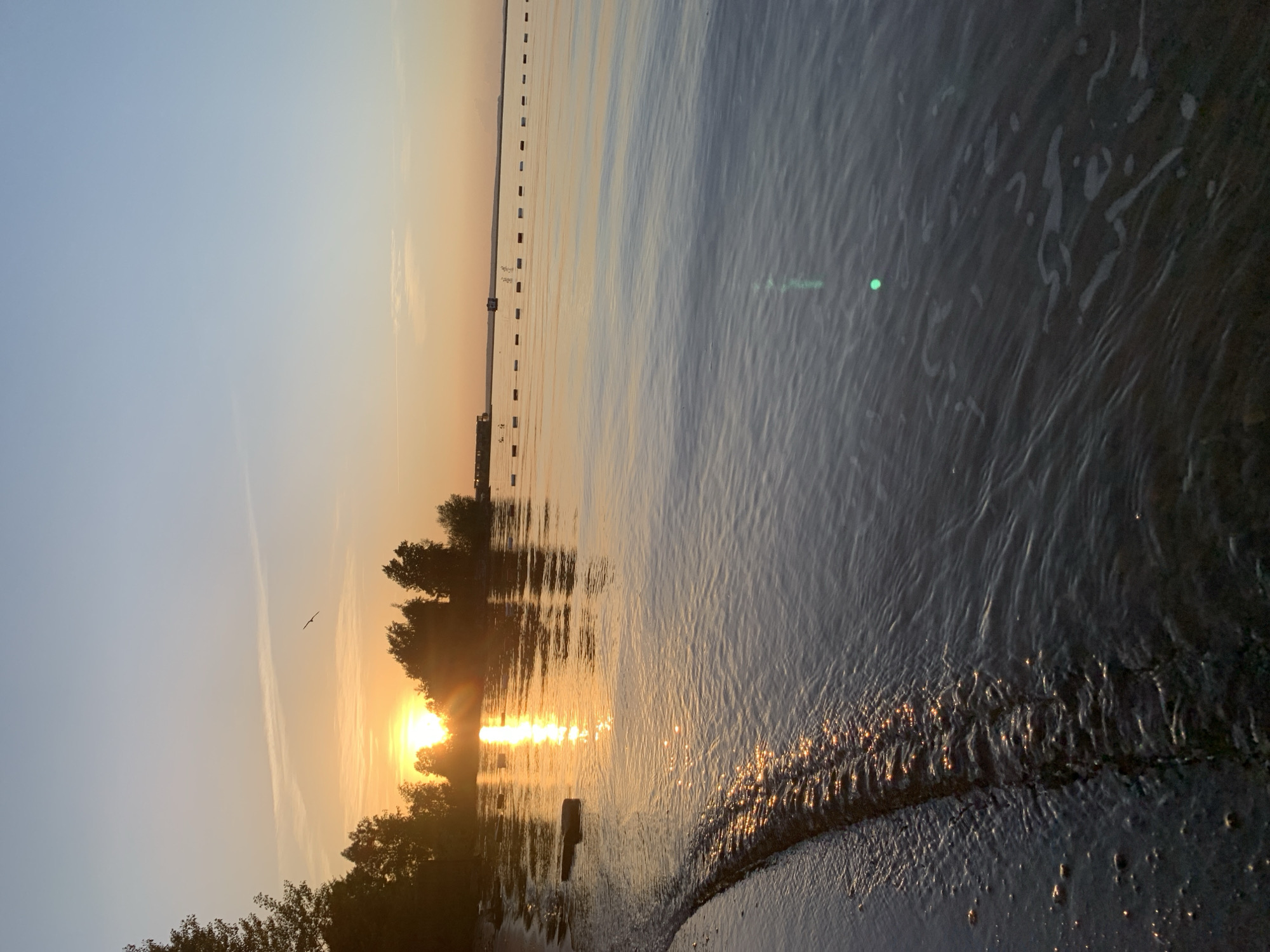 The image shows a sunrise over the Kama River in Chaikovsky, Russia. The sun is rising behind a line of trees, casting a golden reflection on the water. A bird is flying across the sky. A floating boom stretches into the water. The foreground shows waves and the shoreline.