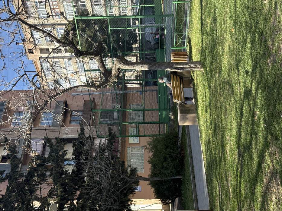 An outdoor urban scene in Tbilisi, Georgia, is depicted on a sunny day, characterized by strong sunlight and shadows on a green lawn in the foreground. A paved walkway runs along the left side. A single individual, appearing elderly with gray hair, is seated on a yellow wooden bench with concrete supports, facing away from the observer towards the right. A prominent, leafless deciduous tree with a gnarled trunk stands immediately to the right of the bench.
Behind the bench and tree, a tall green metal fence encloses a sports court or communal area. Beyond the fence, a multi-story residential building with peach-toned stucco walls and multiple balconies occupies the left background. A sign with Georgian script, translated as "Family Medicine Center," is affixed to its lower level. Further to the right and in the background, another taller, light-colored multi-story residential building with numerous windows and balconies is visible under a clear blue sky. Within the fenced court area, two indistinct small figures and a white vehicle are partially observable. The scene reflects a public green space within a residential district.