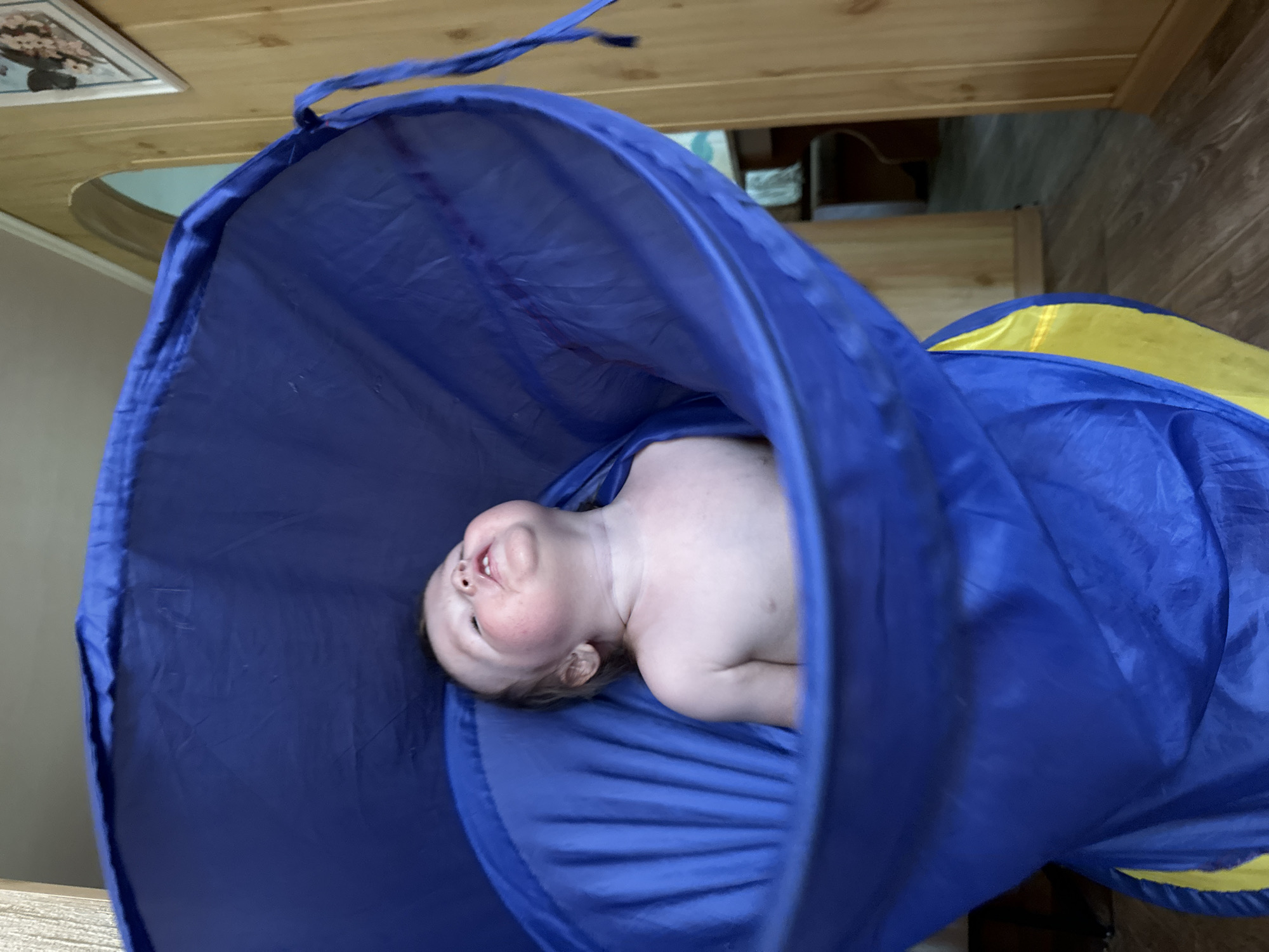 A baby lies inside a blue and yellow play tunnel. The tunnel is indoors, resting on a wood floor. A framed picture hangs on a wall in the background.