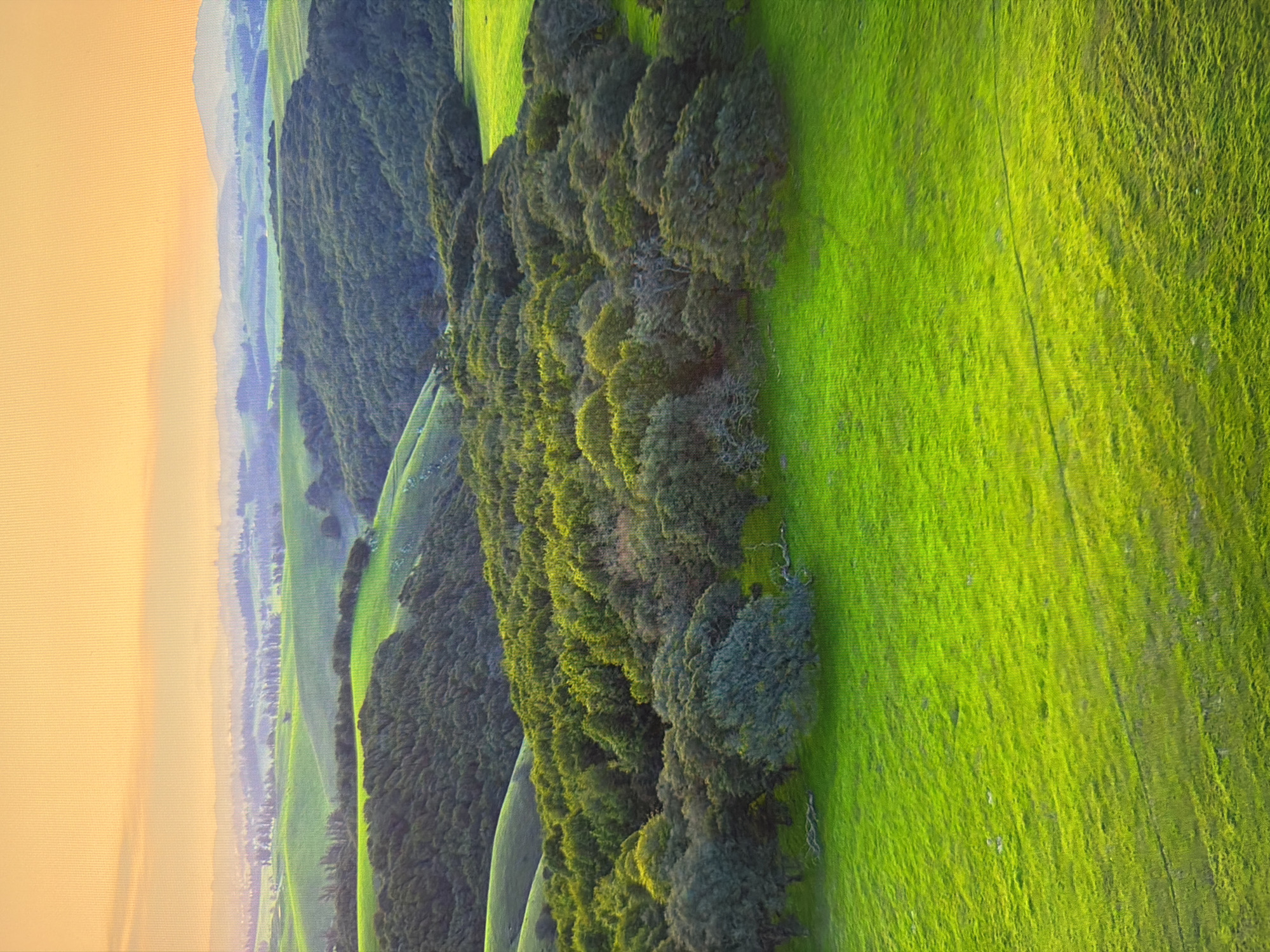 This is an aerial, wide-angle landscape photograph showcasing rolling green hills and a forest under a warm, hazy orange sky. The scene is bathed in soft, diffused light, suggesting either sunrise or sunset. The foreground is dominated by a vibrant, undulating green meadow, with subtle variations in texture and shading indicating gentle slopes and possibly tire tracks or paths.
Further back, a dense forest occupies the middle ground, its canopy a rich tapestry of greens. The trees are closely packed, creating a textured, shadowed surface with pockets of sunlight illuminating parts of the foliage. This forest is situated on a hillside that slopes upwards and to the right.
Beyond the forest, more rolling green hills extend into the distance, interspersed with patches of trees. These hills become progressively less distinct and fade into a hazy blue-gray, with faint outlines of mountains or distant hills on the horizon. The sky above is a uniform, pale orange, with some subtle cloud formations visible near the horizon.
The image captures a natural, rural landscape, likely a park or a protected natural area. There are no man-made structures, vehicles, or individuals visible in the photograph. The overall impression is one of tranquility and natural beauty, characteristic of pastoral or untouched countryside. The specific location is not identifiable from the visual information provided in the image.