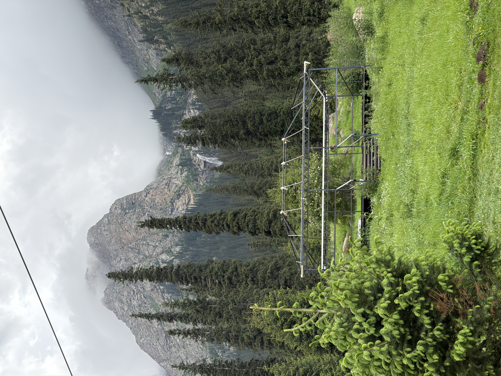 An unfinished metal structure, possibly a greenhouse frame, sits in a grassy clearing. Behind the structure, a dense forest of tall evergreen trees climbs a mountain slope. In the distance, a waterfall cascades down the rocky face of a cloud-shrouded mountain. A single, young evergreen tree stands in the foreground to the left. The scene appears to be in a natural, mountainous environment, possibly in or near the city of Ala-Archa National Park, Kyrgyzstan, given the context of the provided crops hinting at a location. The sky is overcast, with thick clouds obscuring the upper reaches of the mountains.