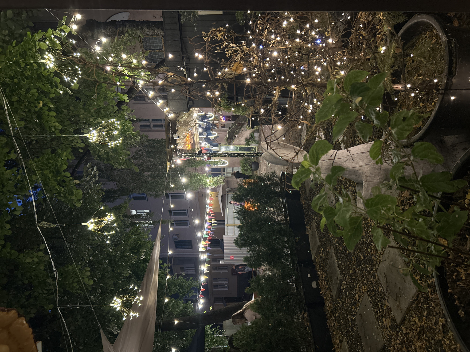 The image depicts an outdoor seating area at night, likely a cafe or restaurant, in the city of Homyel, Belarus. String lights are prominently featured, with clusters of small, starburst-shaped lights hanging from trees and branches, as well as a strand of larger, round bulbs stretched across the scene. A large, partially bare tree in the foreground is heavily adorned with these small lights. In the background, a building with multiple windows and balconies is visible, and a string of colorful triangular flags spans between trees. The ground is covered in fallen leaves and intermittent paved squares, suggesting an autumn setting. Several dark planters are lined up along the left side of the image, containing green bushes and in the foreground, a plant with green leaves. A light-colored, abstract sculpture, possibly a stylized animal, is situated amidst the planters. A few individuals are faintly visible in the background, including a woman with long hair sitting at a table, a person standing near a fence, and another figure further back. The overall ambiance is cozy and festive, illuminated by the warm glow of the decorative lights.