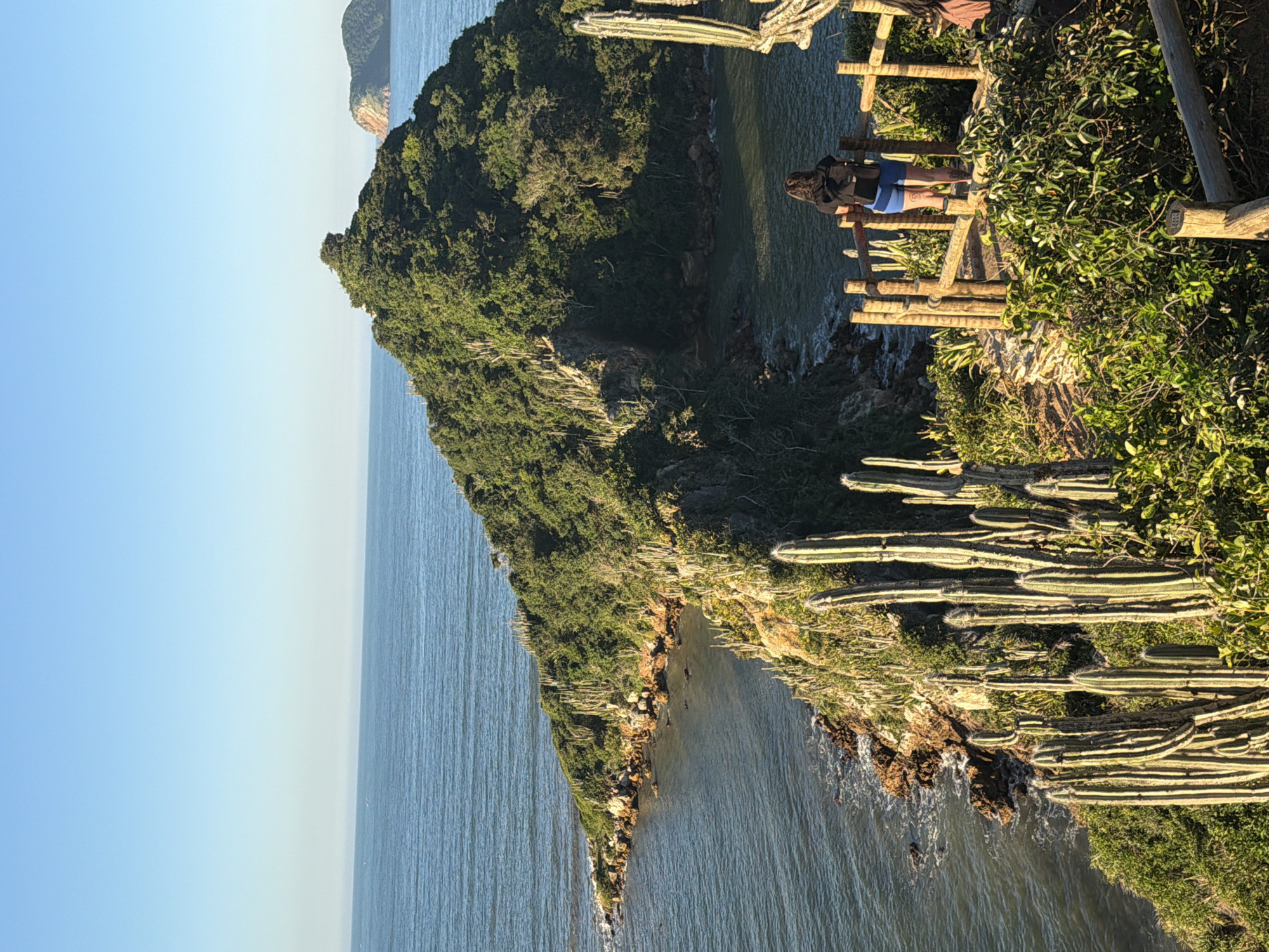 A woman wearing a black backpack and blue shorts stands on a wooden viewing platform overlooking a coastal landscape. The platform is surrounded by lush green vegetation and tall cacti. In the distance, a large, tree-covered island juts out into the clear blue ocean, with another smaller island visible on the horizon. The sun is shining, casting a warm glow on the scene, and the sky is a clear, bright blue. This location is likely near a hiking trail or scenic overlook in Armação dos Búzios, Brazil, a popular tourist destination known for its beautiful beaches and rugged coastline.