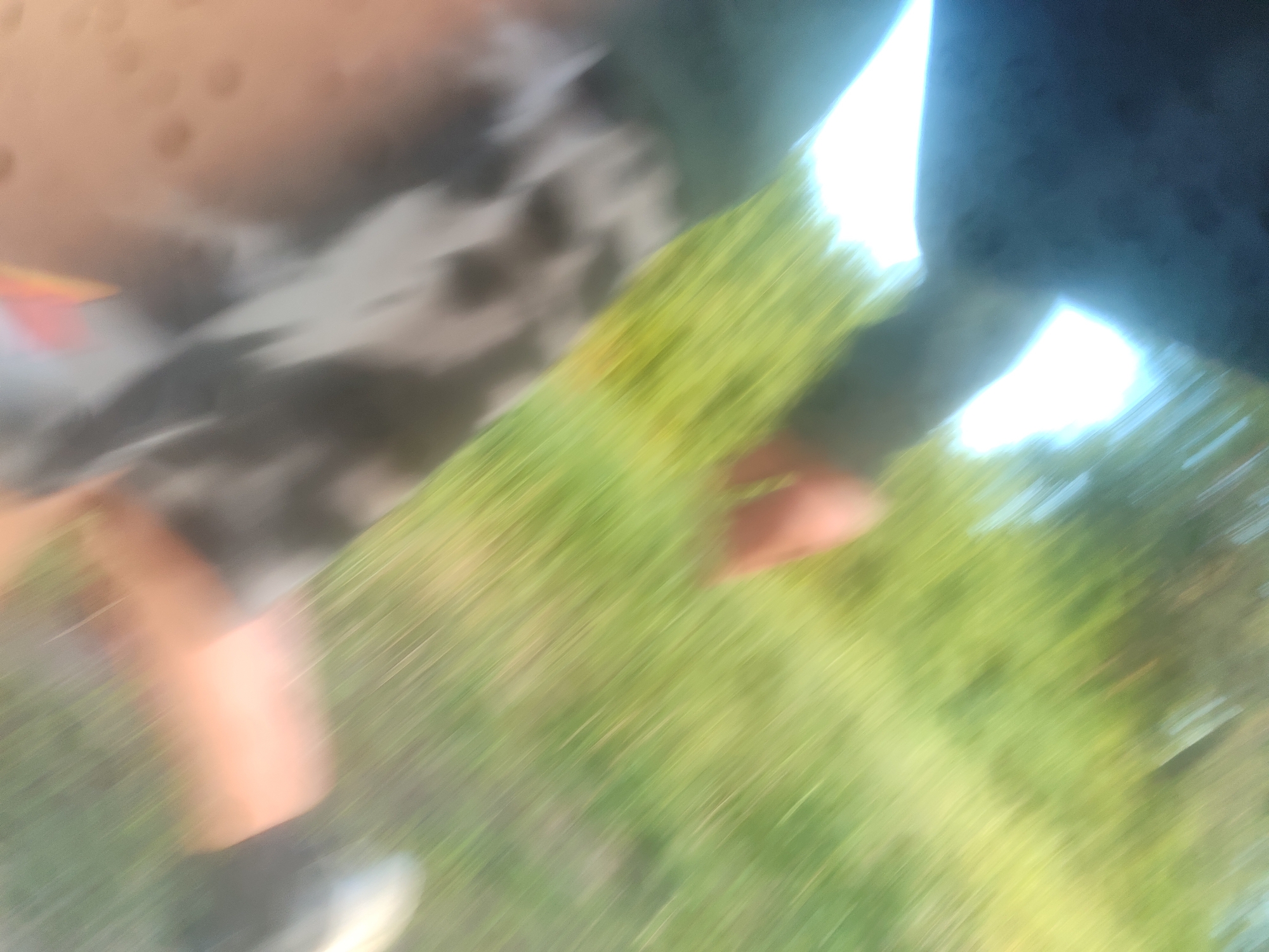The image is a motion-blurred photo that appears to be taken outdoors during the daytime, possibly in a park or grassy area. The primary subjects are indistinct human figures. One figure, on the left side of the frame, seems to be wearing clothing with a black and white pattern, possibly a shirt or pants. Another part of a person's leg or arm is visible in the lower left, with a peachy skin tone. On the right side of the image, a dark, possibly blue or black, fabric is visible, which could be clothing or a shadow. The background is a blur of green, suggesting grass or foliage, and there are bright areas of white and light blue, indicating sunlight or sky. The motion blur suggests movement, possibly running, walking, or dancing. The overall impression is one of dynamic activity in an outdoor setting, though the lack of clarity makes specific details about the event or emotions difficult to discern. There is no visible text in the image.