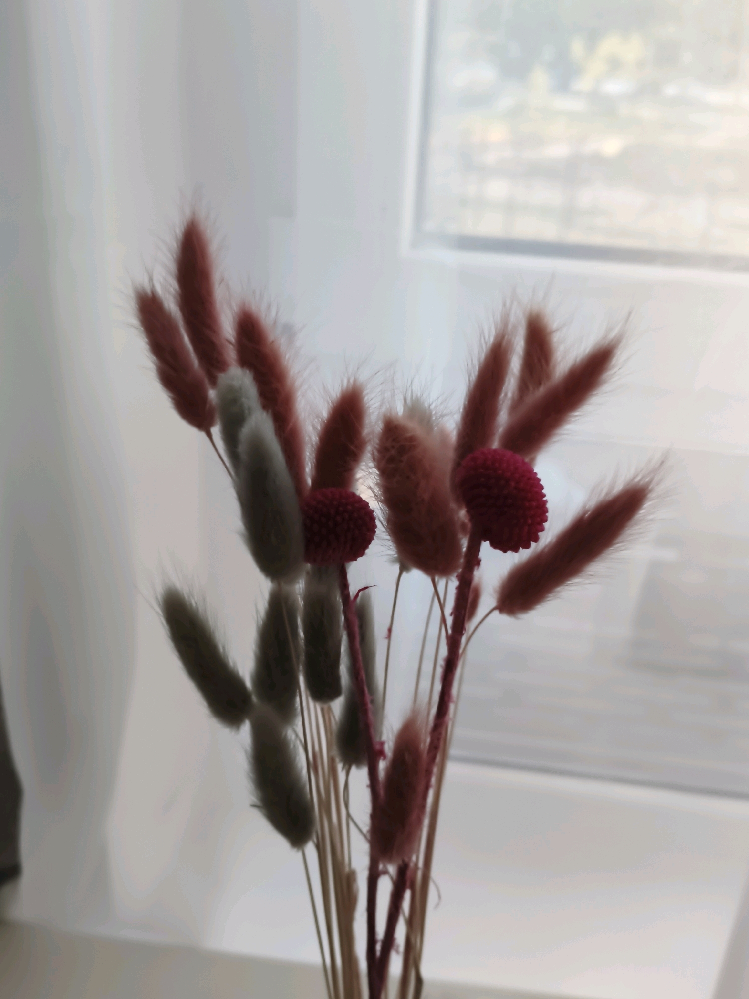 A close-up, eye-level shot focuses on a bouquet of dried lagurus ovatus, commonly known as bunny tails, in muted tones of pink and gray. Two vibrant crimson spheres, possibly dried flowers or decorative elements, are interspersed among the feathery stalks. The bouquet is placed in front of a softly diffused window, with the blurry outlines of trees and sky visible through it. The background is a soft, pale gray, creating a minimalist and serene atmosphere. There are no people present, and the setting appears to be indoors, with no specific city or environmental details discernible.