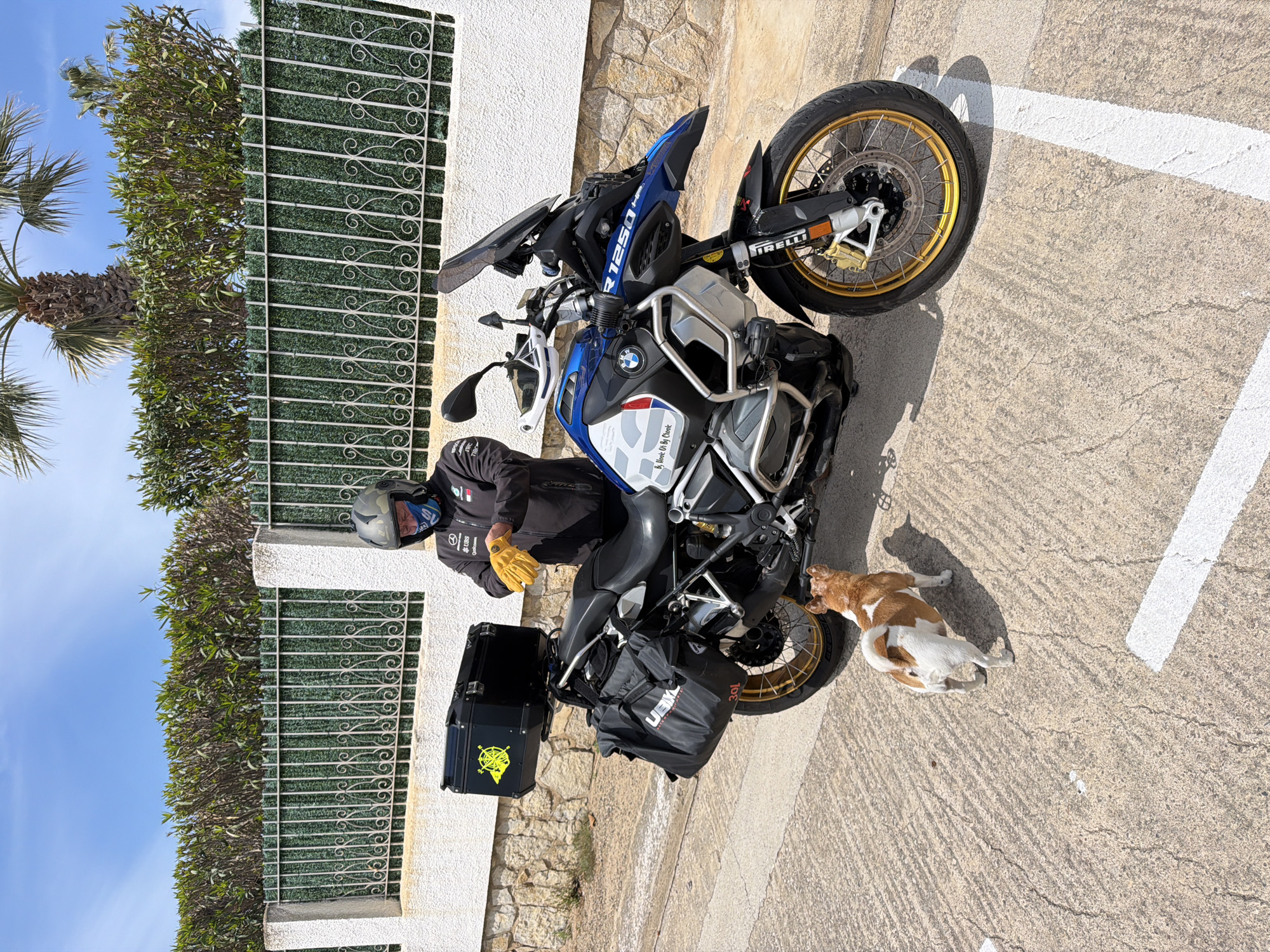 The image shows a person on a parked BMW R 1250 GS motorcycle in Mont-roig del Camp, Spain. The person is wearing a helmet, black jacket, and yellow gloves. The motorcycle has a black hard-case pannier and a black soft-case bag attached. A small, tan and white dog is standing next to the motorcycle near the front tire.
The scene is located outdoors, with a white building featuring a wrought-iron fence and a green hedge in the background. To the left of the fence, a palm tree is visible. The ground is concrete with a white painted line. The sky is blue with some clouds. Text visible on the motorcycle includes "UBIXL 301", "IRELLI", "By Hook Or By Chook", and "R1250".