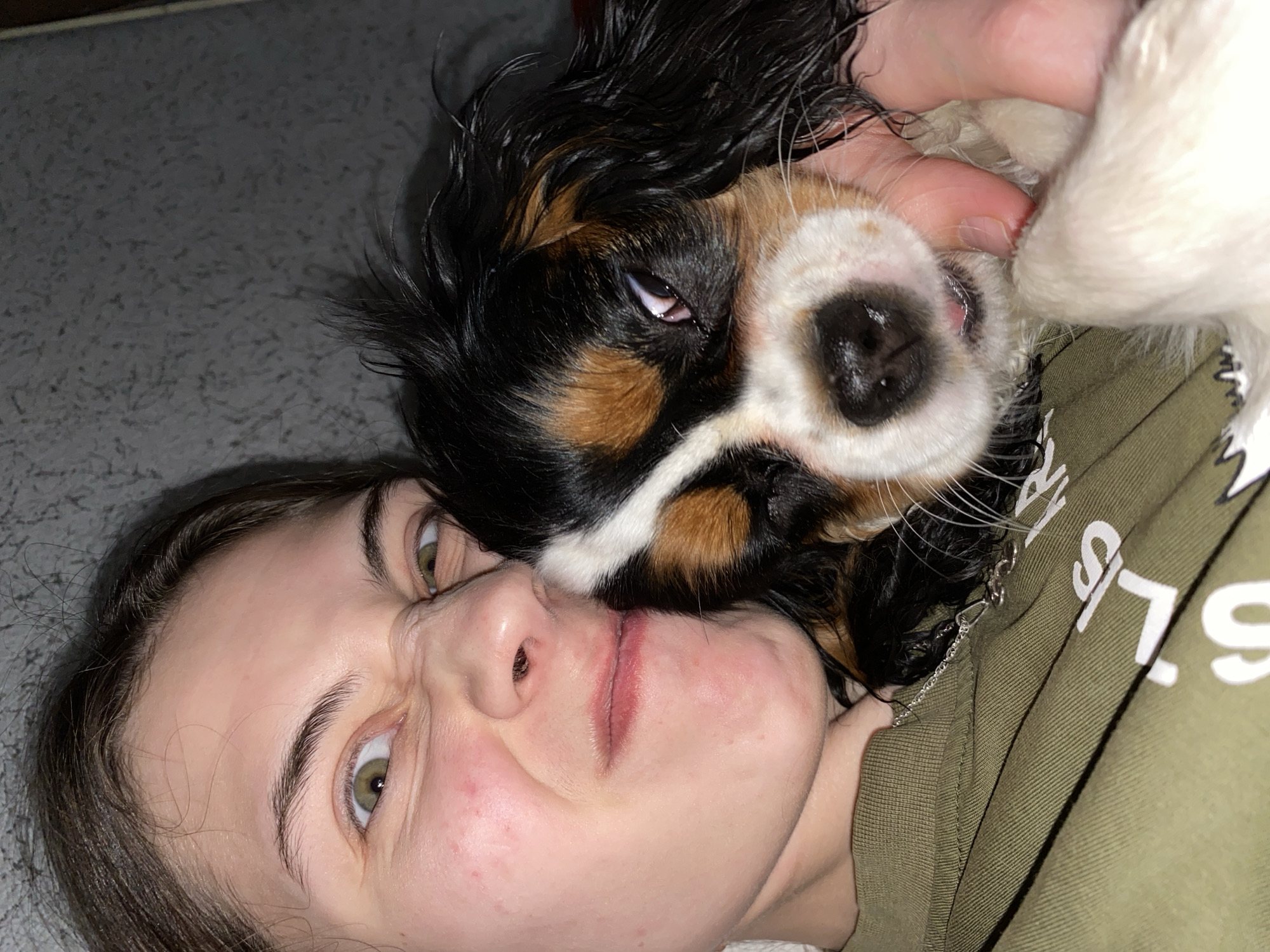 A photograph shows a woman lying on her back with a tricolor Cavalier King Charles Spaniel dog positioned directly above her, close to her face. The woman has fair skin, green eyes, and dark hair. Her facial expression is slightly contorted, possibly due to the dog's proximity. The dog has black, white, and tan markings and is looking at the camera. The woman is wearing a green shirt with white lettering. The background is a gray surface, possibly a floor. The image provides no information to determine if it was taken in the city of Votkinsk, Russia.
