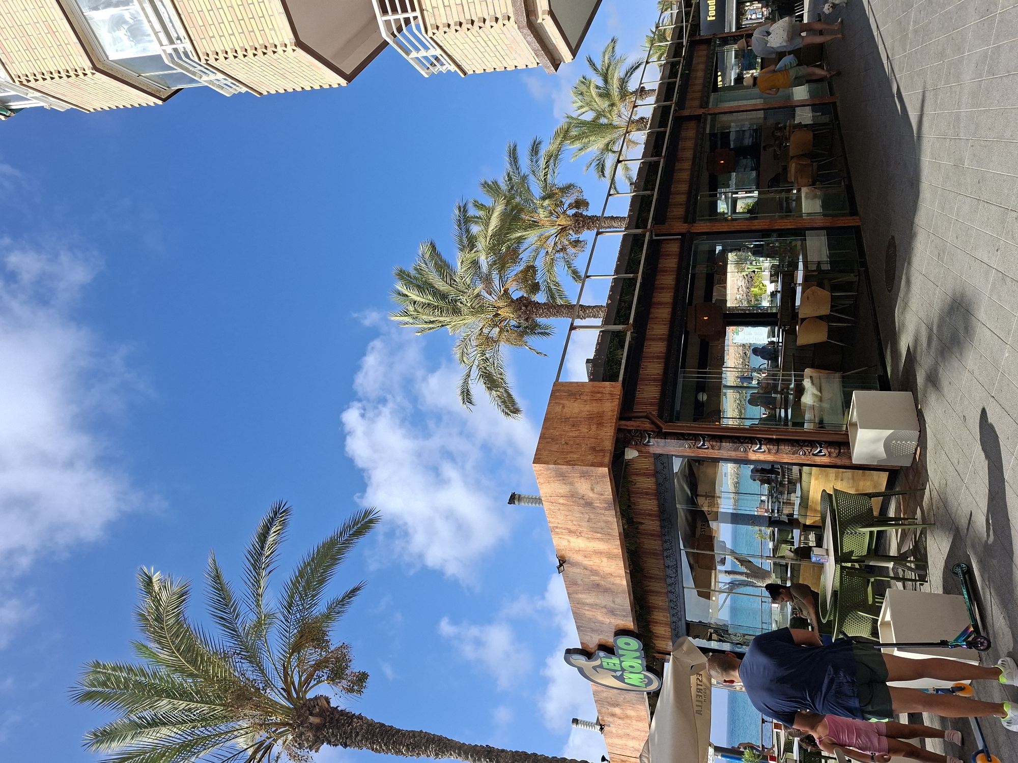 The image depicts a sunny day in Torrevieja, Spain, with a clear blue sky and scattered white clouds. In the foreground, a paved walkway runs alongside a modern restaurant with large glass windows and a wooden facade. The restaurant is adorned with palm trees on its roof and a sign that reads "EL MONO" in green lettering.
Several people are visible. In the left foreground, a man wearing a dark blue t-shirt and green shorts stands with his back to the camera, looking towards the restaurant. Beside him, a young girl in a pink top and shorts is also present. A colorful scooter is parked on the walkway. Inside the restaurant, patrons are seated at tables, some of whom are visible through the glass.
Further down the walkway, two individuals, one wearing a yellow top and the other a light-colored top, are walking away from the camera, accompanied by a small white dog. A tall, multi-story building with a brick facade and balconies stands to the right of the restaurant. In the background, palm trees sway in the breeze, and the blue ocean is visible beyond the restaurant, suggesting a coastal location. The overall scene is one of a vibrant, outdoor dining area in a tourist-friendly environment.