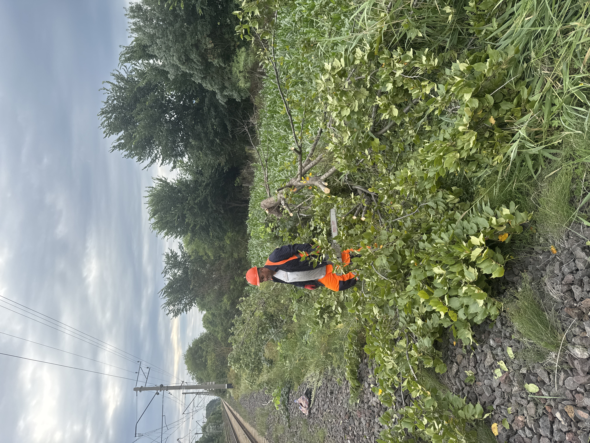 A man in an orange safety vest and hard hat is standing next to a pile of freshly cut branches on the side of a railway track in Kvemo Khvedureti, Georgia. He is holding a chainsaw. The area is overgrown with green vegetation, and a field of corn is visible in the background. The sky is overcast. There are power lines running along the railway track.