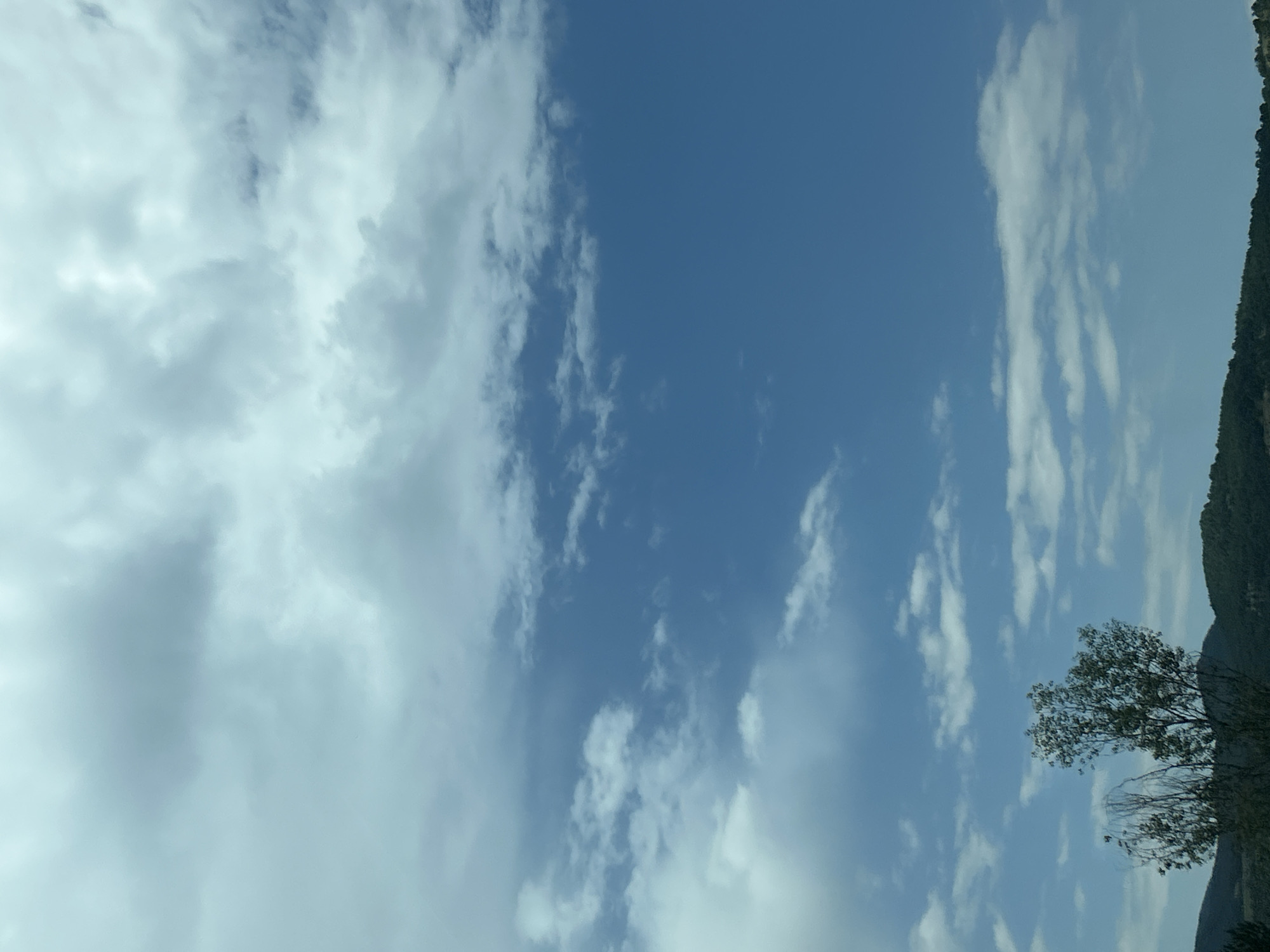 The image displays an outdoor scene in Gorno Varshilo, Bulgaria, primarily focused on a sky filled with various cloud formations over a natural landscape. The upper two-thirds of the frame present a blue sky partially obscured by white and light-gray clouds. Denser, more uniform stratocumulus-like clouds are visible in the upper left, while the right and lower sections of the sky feature more scattered, wispier cumulus clouds, allowing significant portions of clear blue sky to show through. The bottom third of the image depicts a distant, undulating horizon line composed of hills densely covered in dark green deciduous vegetation. A prominent deciduous tree with green foliage, possibly two trees, stands in the lower-left to central-left mid-ground, partially obscuring the distant hills. Some branches of this tree appear bare or sparsely leaved. No individuals, animals, or man-made structures are discernible within the frame. The scene is illuminated by natural daylight.