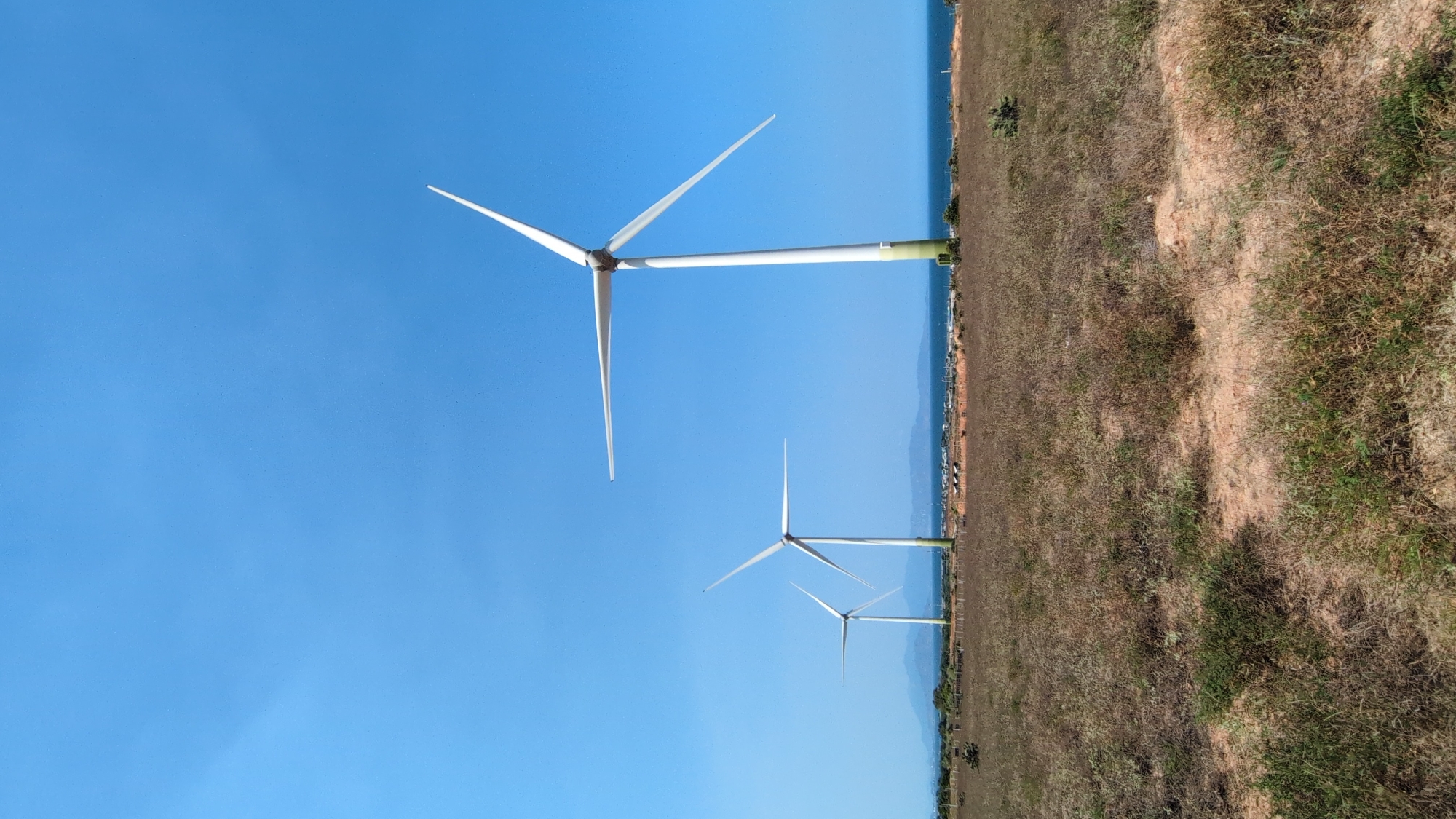 The image depicts a field of brown and yellow grass with three wind turbines in the distance. The wind turbines are white with three blades each, and are positioned against a clear blue sky. The turbines decrease in size with distance, indicating perspective. The field borders a strip of water or a coastline, suggesting a location near the sea. Based on the prompt, this scene is located in Phuoc Dinh, Vietnam. There are no people visible in the image.