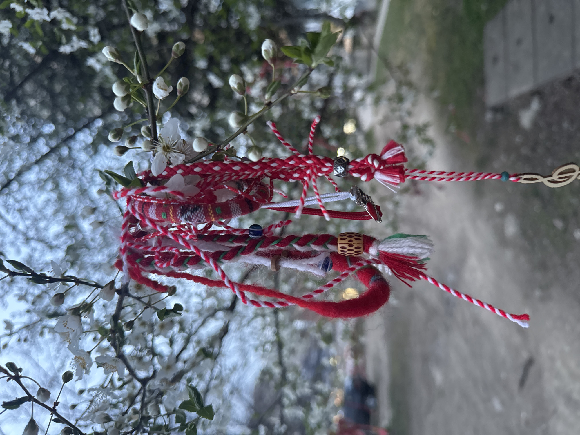 The image shows a cluster of Martenitsa bracelets hanging on a flowering branch, likely a cherry or plum tree. The bracelets are predominantly red and white, traditional Bulgarian symbols of health and good luck worn in March. The background is blurry but suggests an urban environment, possibly a park or garden in Sofia, Bulgaria, given the common tradition of tying Martenitsas to flowering trees in the spring. No people are directly visible. The focus is on the bracelets and blossoms. The environment is blurry but suggests an urban environment, possibly a park or garden in Sofia.