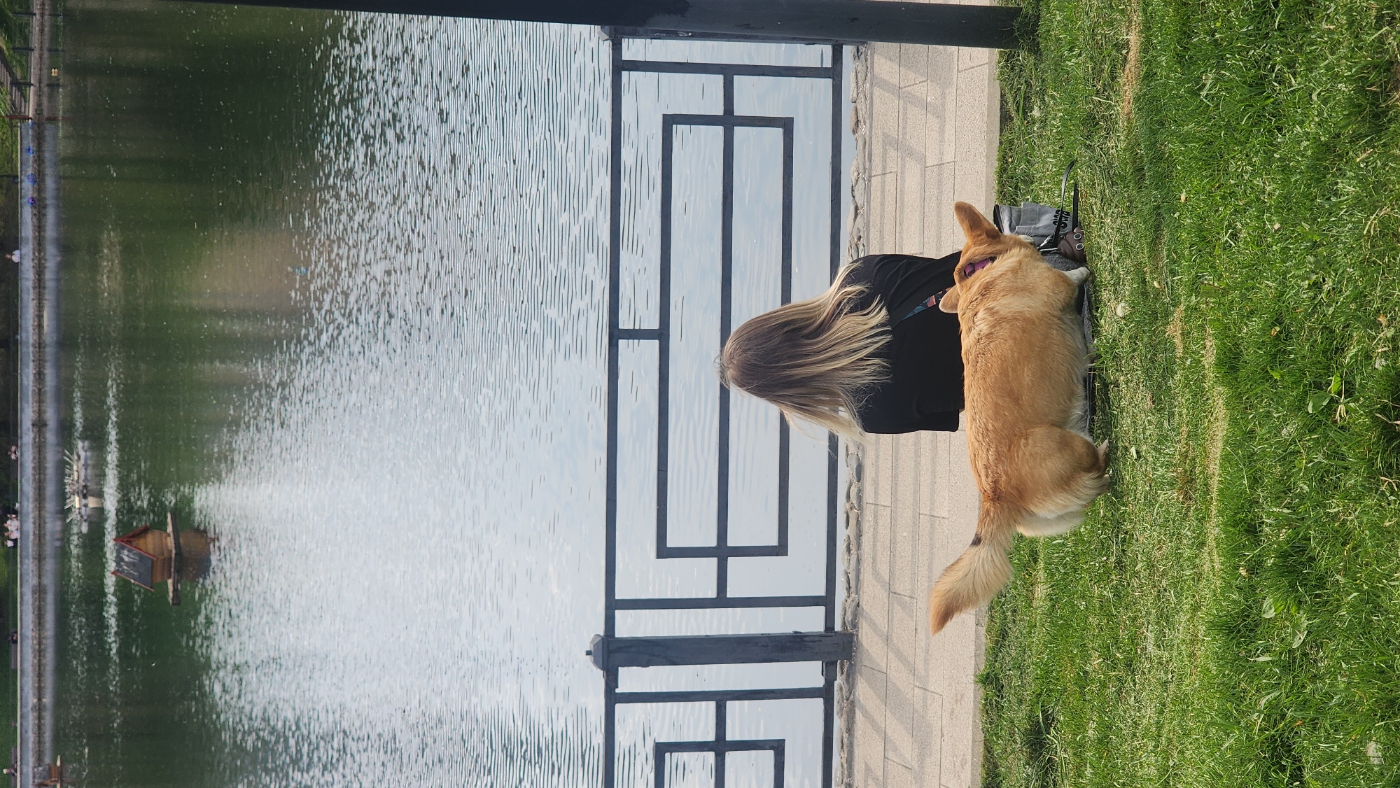 A woman with blonde hair sits on the grass next to a corgi dog, near a railing separating them from a body of water. The water reflects the sky. In the water, there is a small wooden structure, possibly a duck house. The scene appears to be a park setting, likely in Moscow, Russia, considering the image's origin. The woman is wearing a black top. The dog is lying on the grass, facing the same direction as the woman. The ground is paved with stone tiles.