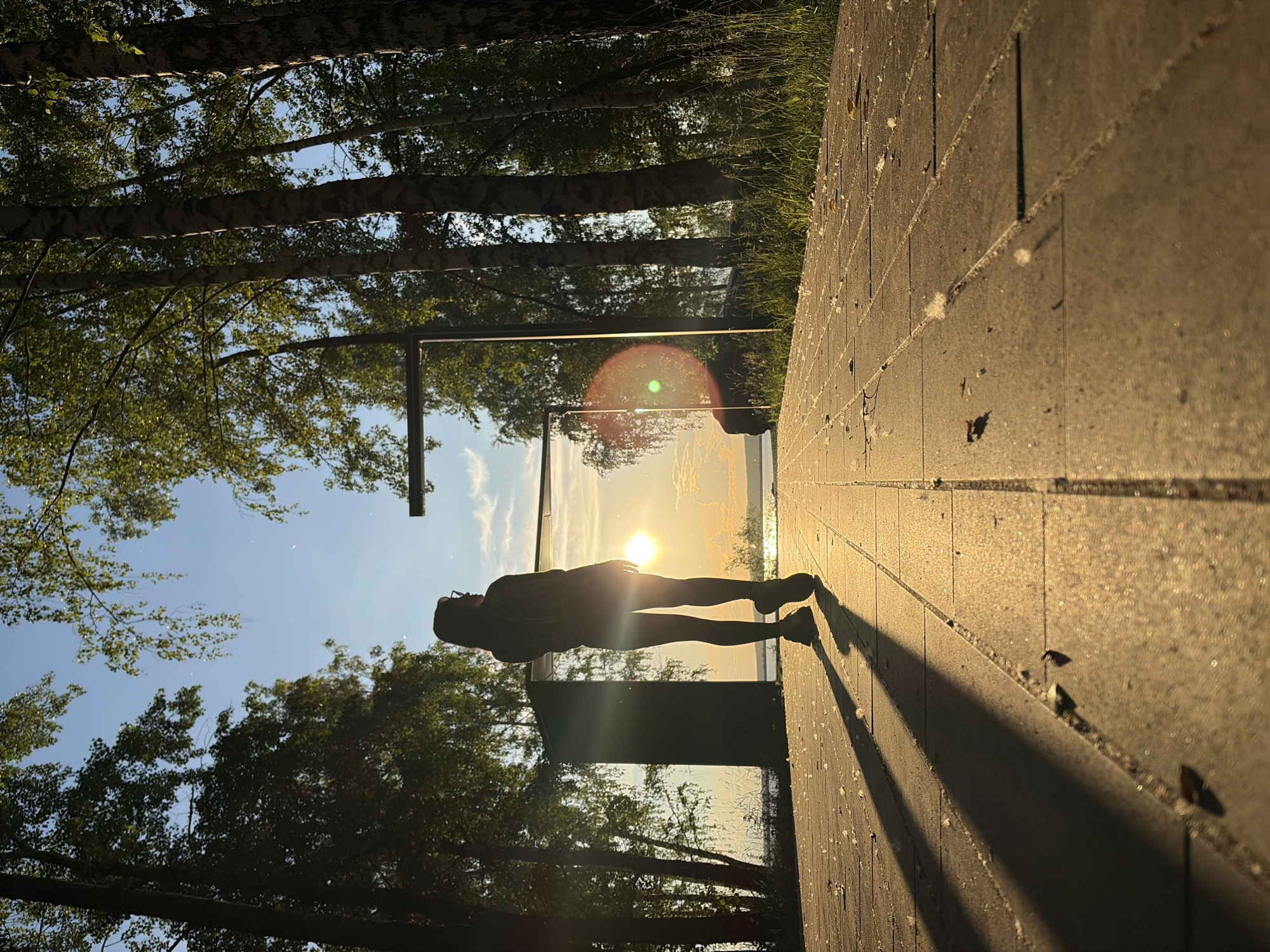 A silhouette of a person stands in front of a reflective surface, possibly a glass building or a large mirror, capturing the sunset. The person is wearing glasses and appears to be looking towards the sun, which is low on the horizon, casting a warm glow. The sky is a clear blue with a few wispy clouds. Trees with green foliage surround the scene, their branches reflected in the surface alongside the sky and the setting sun. The ground is paved with large, rectangular tiles that are illuminated by the low-angled sunlight, creating long shadows. Small white specks are scattered across the paved surface, possibly debris or reflections. The overall mood is peaceful and contemplative, with the beauty of the sunset taking center stage. The time of day is sunset, and the weather appears clear and fair. The location cues, such as the trees and paved pathway, suggest an outdoor setting, possibly a park or a waterfront promenade. No visible text is present in the image.