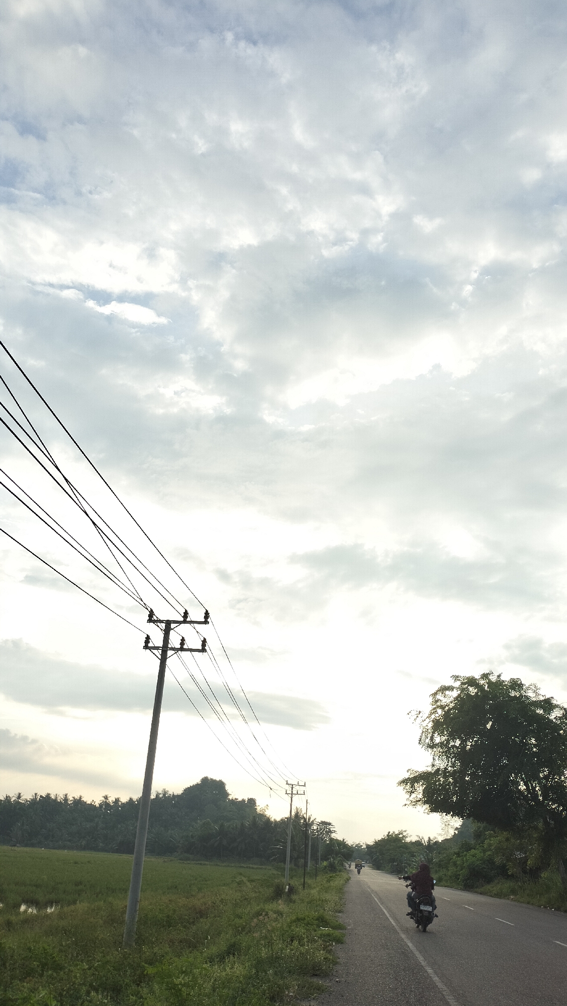 An overcast sky looms above a rural Indonesian landscape in the city of Cotentung. A paved road stretches into the distance, flanked by lush green vegetation and rice paddies. Several power lines crisscross the frame, supported by utility poles. In the foreground, a single utility pole stands prominently on the left side of the road. Further down the road, two motorcycles are visible, one with a rider and another in the distance. A large tree with dense foliage is situated on the right side of the road. The overall scene depicts a typical day in a rural Indonesian setting.