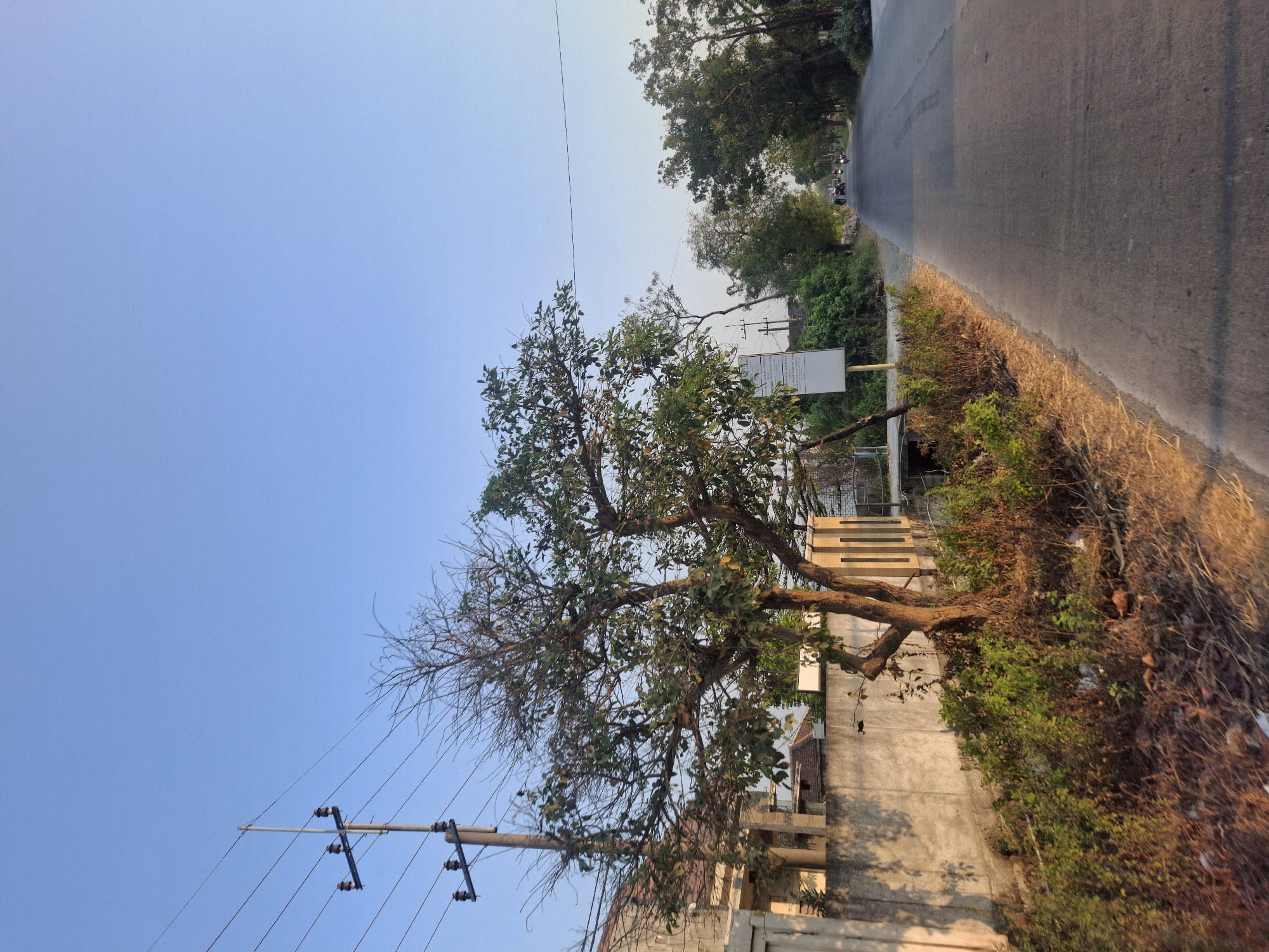 The image depicts a street scene in Banjarmadu, Indonesia, during what appears to be late afternoon or early evening. The sky is a clear, pale blue. On the left side of the road, a concrete wall runs along the property line, with a building visible behind it. A tree with sparse foliage and dry branches stands in front of the wall. Electrical poles and wires are present alongside the road. The road itself is paved and curves to the right, leading into the distance where it is lined with trees. Several motorbikes and a few cars are visible on the road further ahead. The foreground shows dry grass and foliage along the roadside.