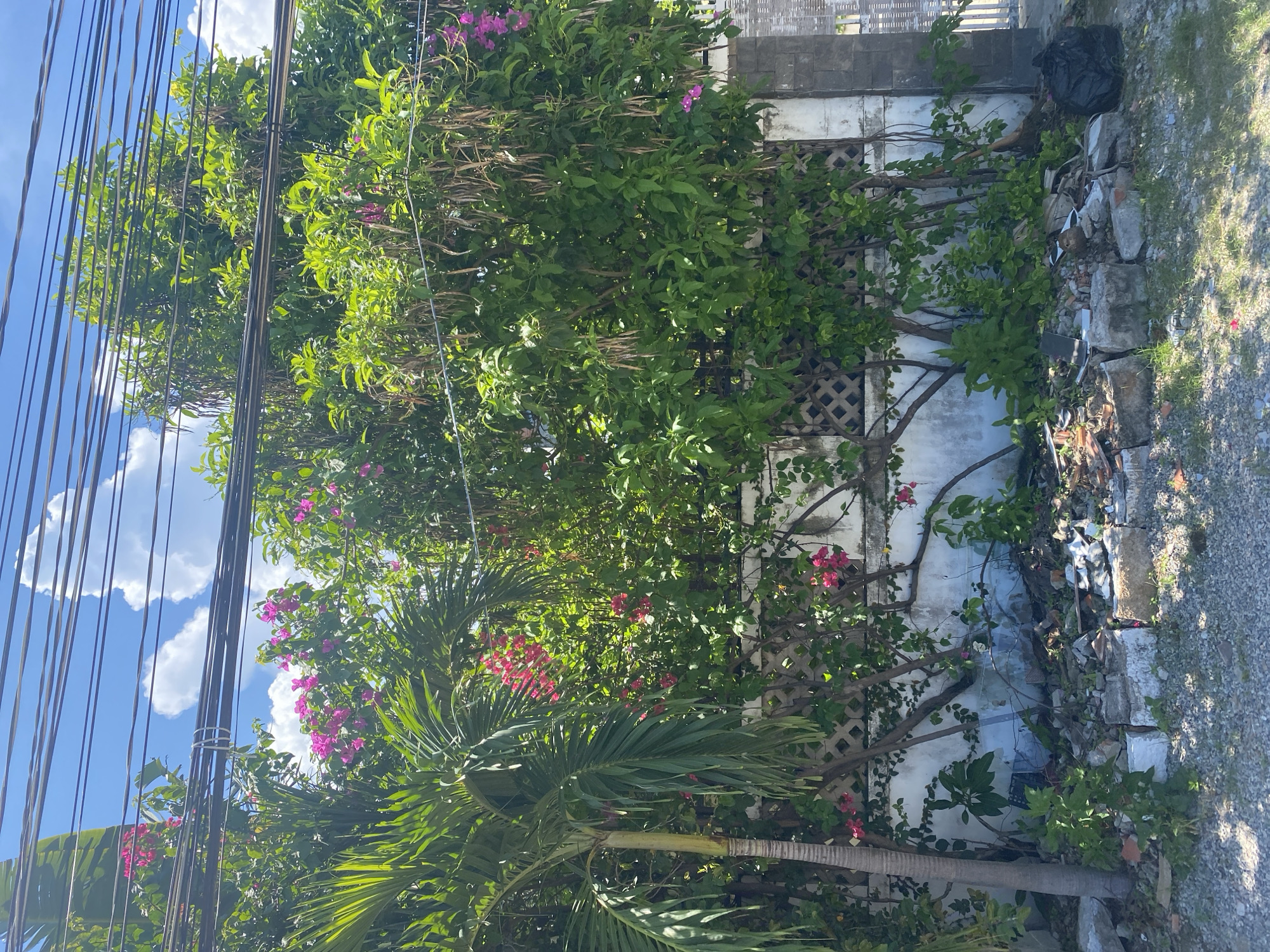 This image depicts a residential exterior scene in Mũi Né, Vietnam, under a bright, partly cloudy sky. A white, stucco wall, approximately two meters high, runs horizontally across the frame. The wall is partially obscured by lush green foliage and vibrant pink bougainvillea flowers. A palm tree stands on the left side of the image, its fronds reaching upwards. Overhanging the scene are numerous black electrical wires, strung between unseen poles. The ground in front of the wall is littered with debris, including broken bricks, rubble, and a black trash bag, suggesting a construction or cleanup area. A section of a grey, patterned fence is visible on the far right, partially covered by vegetation. The overall impression is one of a somewhat unkempt but naturally beautiful tropical environment.