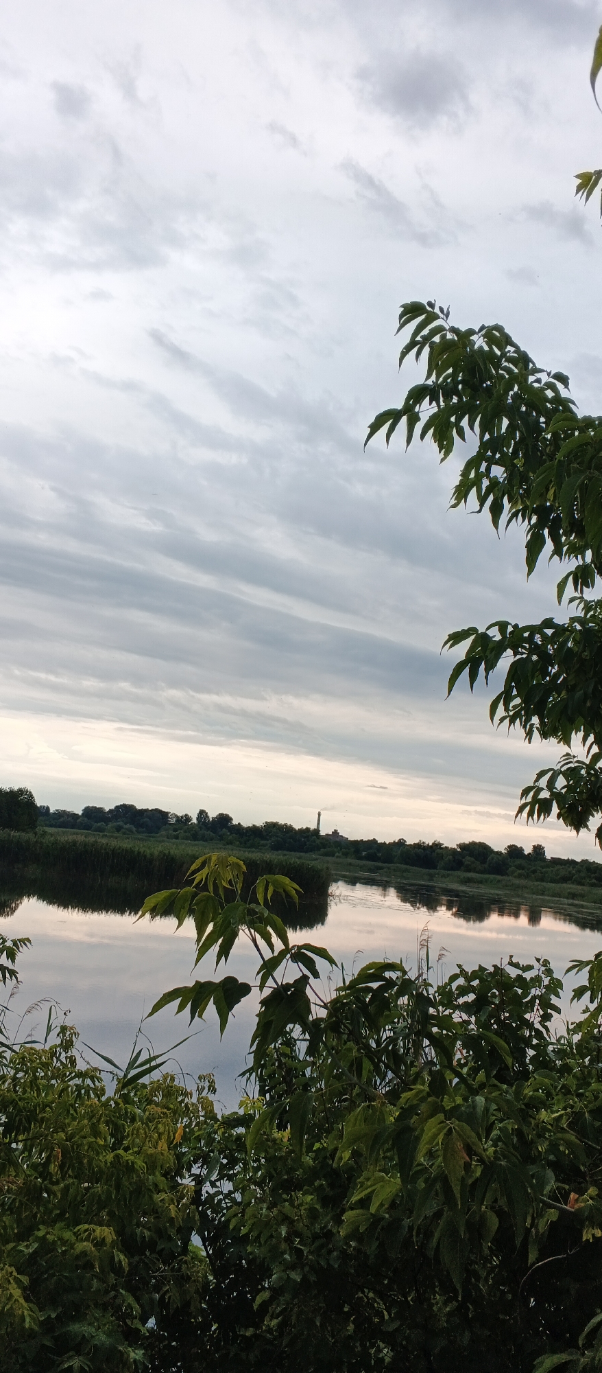 This is a vertical, medium shot of a tranquil river scene likely taken in or near Smila, Ukraine. The foreground is dominated by lush green foliage, with branches and leaves of trees framing the upper right and lower portions of the image. The middle ground features a calm river reflecting the overcast sky. Beyond the river, a dense line of dark green trees forms the horizon, punctuated by a distant, narrow, light-colored tower with a dark cap, possibly a communication tower or chimney. The sky is filled with layered, horizontal grey clouds, suggesting an overcast or approaching storm. The overall impression is one of natural beauty and serenity.