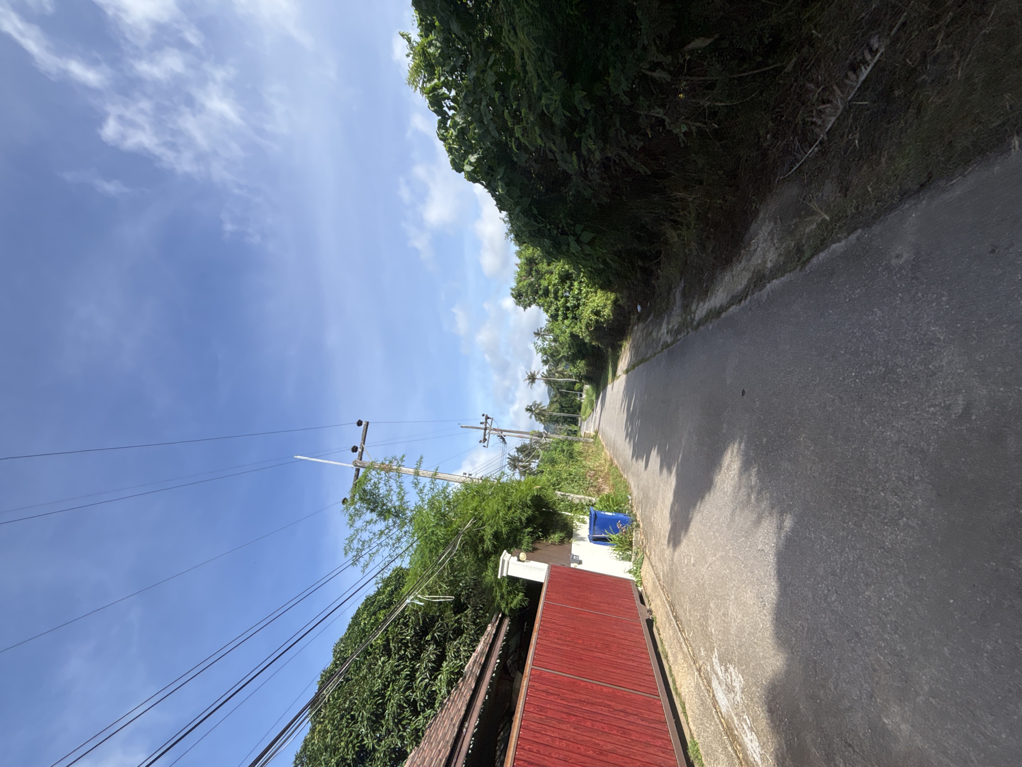 The image depicts a residential street in Chalong, Thailand, on a sunny day with a partly cloudy sky. The asphalt road stretches into the distance, flanked by lush green vegetation on both sides. On the left, a red wooden fence runs along the property line, with a portion of a building visible behind it. A blue trash bin is situated near the fence. Utility poles with numerous wires are scattered along the road, suggesting the presence of electricity and communication infrastructure. The overall impression is one of a tropical, somewhat rural setting within the city.
