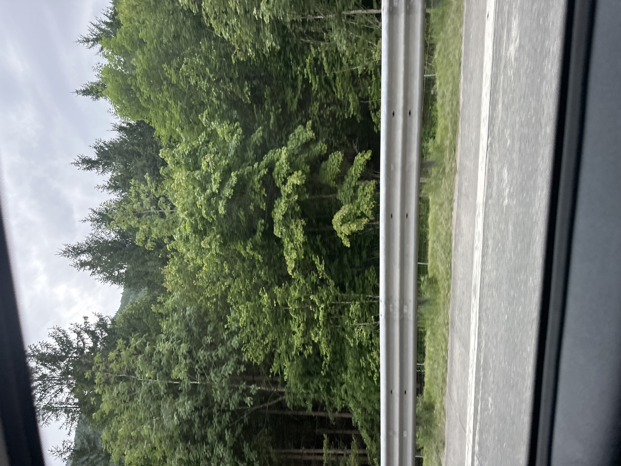 The image depicts a roadside view in Golling an der Salzach, Austria, likely from a moving vehicle. In the foreground, a grey metal guardrail runs horizontally across the frame, separating the road from a grassy embankment. The road surface is visible as a grey asphalt with white lane markings. Behind the guardrail, a dense, green forest covers the landscape, with various types of trees, including conifers and deciduous trees, forming a thick canopy. The sky above is overcast with grey clouds. The overall impression is one of a natural, rural setting adjacent to a road.