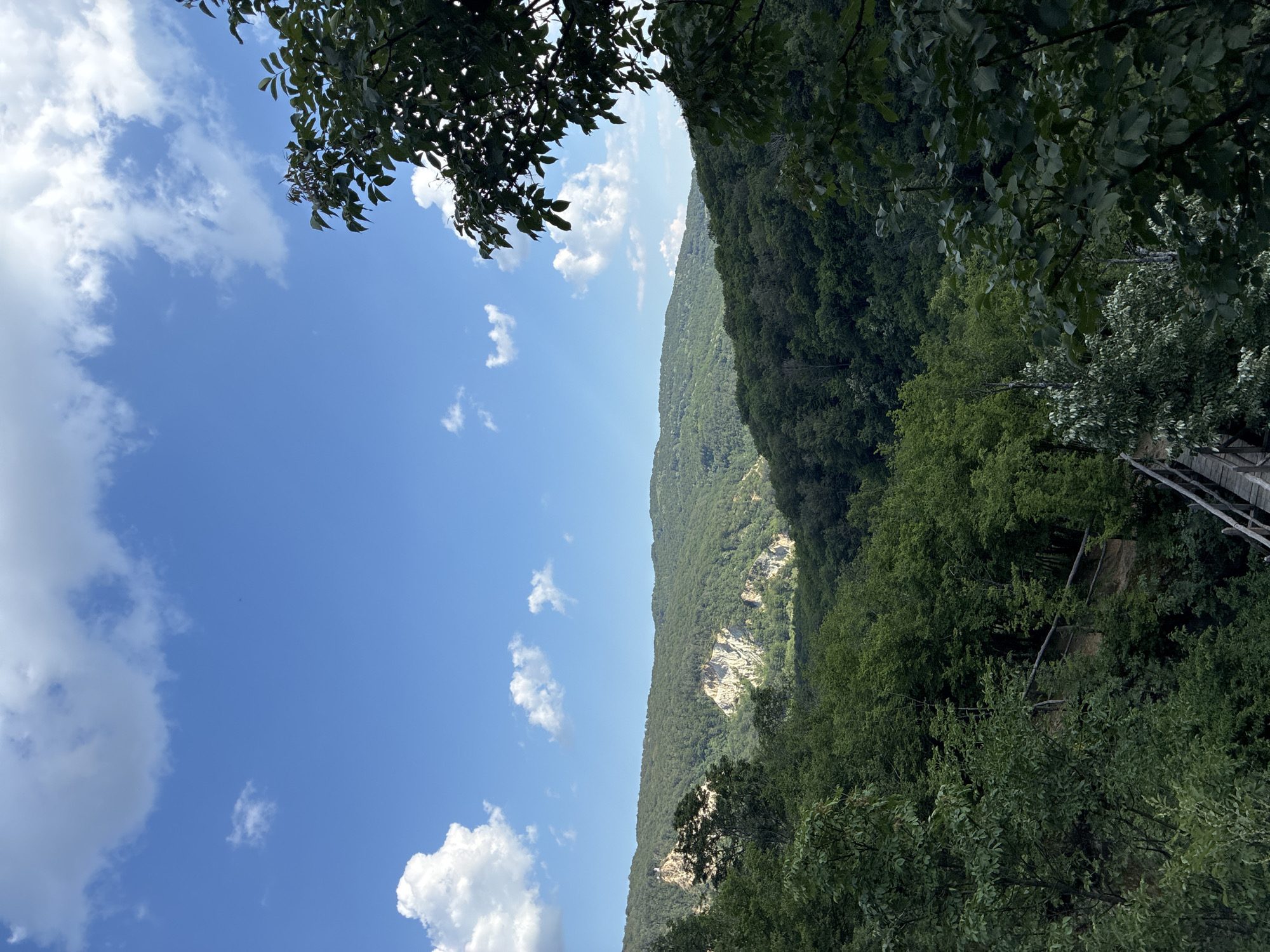 The image depicts a scenic view of a mountainous, forested landscape under a bright blue sky dotted with white clouds. In the foreground, dense green trees dominate, with some branches extending into the frame from the top right. A wooden walkway or bridge is visible in the lower portion of the image, winding through the trees. In the mid-ground and background, rolling hills covered in lush green forests stretch into the distance, with exposed rocky cliffs visible in one of the valleys. The overall impression is one of a natural, outdoor environment, likely a park or hiking area. The location is specified as the city of Kalofer, Bulgaria, suggesting this is a view within or near the city's natural surroundings. There are no people or animals visible in the image.