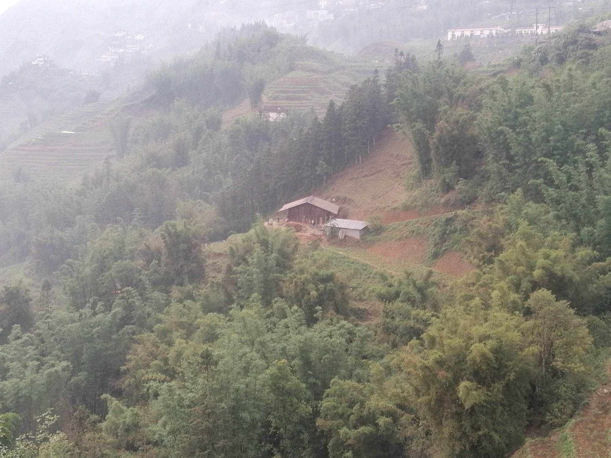 This image depicts a foggy landscape in Sa Pa Ward, Vietnam. The scene is dominated by dense, green foliage covering hilly terrain. A small, wooden structure with a dark roof is situated on a reddish-brown hillside, accompanied by a smaller, adjacent outbuilding. Terraced farmland is visible in the background, suggesting agricultural activity. Further in the distance, some buildings are discernable, indicative of a settlement or village. The overall atmosphere is misty, reducing visibility and lending a soft quality to the light.