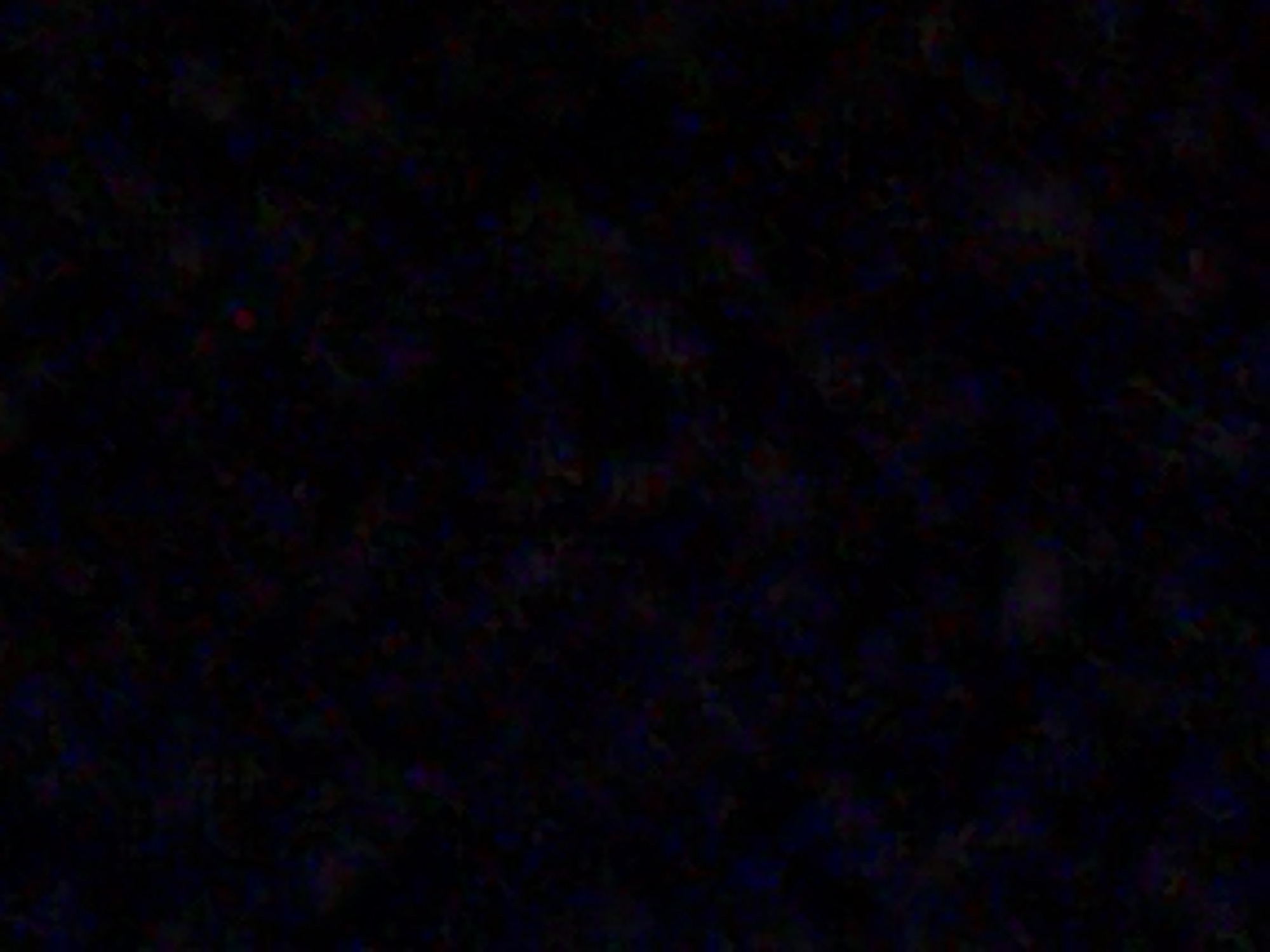 The image is a very dark, grainy, and low-resolution picture that appears to be taken at night or in very low light conditions. It is difficult to discern specific details, but there are faint patches of color, including red, blue, and green, scattered throughout the predominantly black background. The overall impression is of a heavily obscured or abstract scene, possibly a blurry representation of an outdoor environment with minimal illumination. No recognizable objects, people, or specific landmarks are clearly identifiable, and the location within Navbahor, Uzbekistan, cannot be determined from the visual information provided.