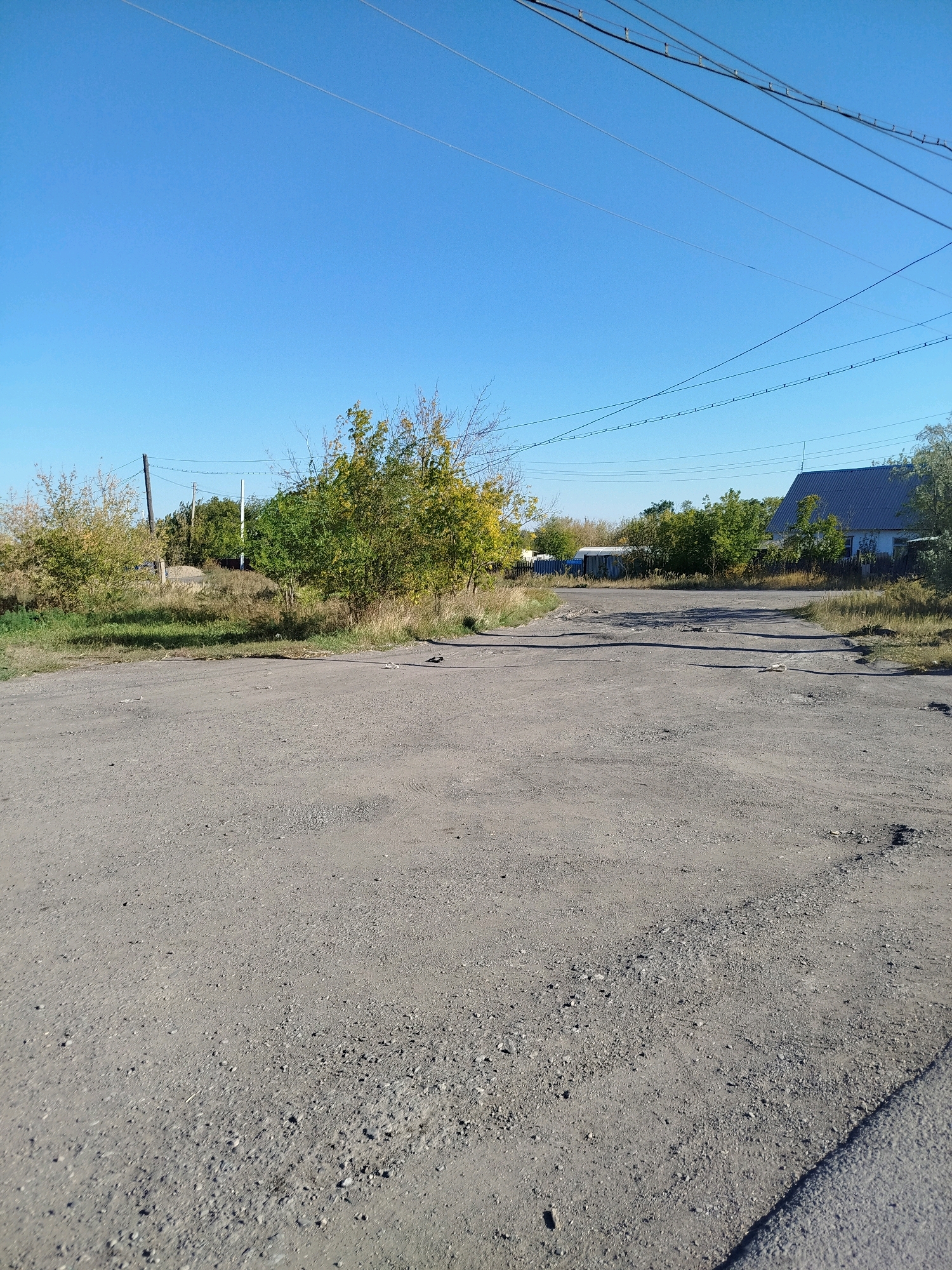 A low-angle, eye-level outdoor shot captures a dusty, pothole-ridden dirt road in what appears to be a rural or semi-urban area under a clear, bright blue sky. Overhead, multiple power lines stretch horizontally across the frame, supported by utility poles visible in the distance. On either side of the road, dry grass and scattered bushes with yellowing leaves suggest an autumn setting. In the background, several simple houses with dark roofs are partially visible through the trees. A small, dark bird is present on the road in the mid-ground, and a few white, unidentifiable objects are scattered on the road surface. The overall impression is of a sparsely populated, unpaved road on a sunny day.