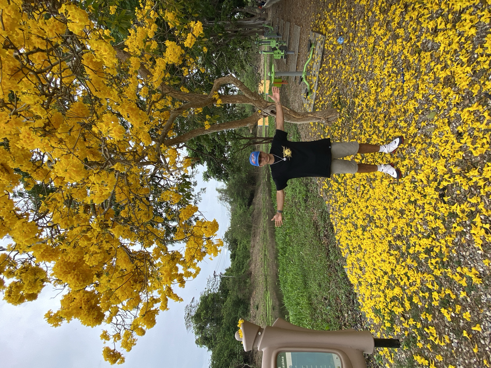 A man stands on a ground covered with yellow flowers in what appears to be a park in Río Chico, Venezuela. The man wears a black t-shirt, tan shorts, a blue baseball cap, and white sneakers. He stands with his arms outstretched. Behind him, there are green exercise machines. A tree with yellow blossoms is prominent to the left of the man. A small body of water and grassy vegetation are visible behind the man, as well as a small brown information kiosk in the foreground.
