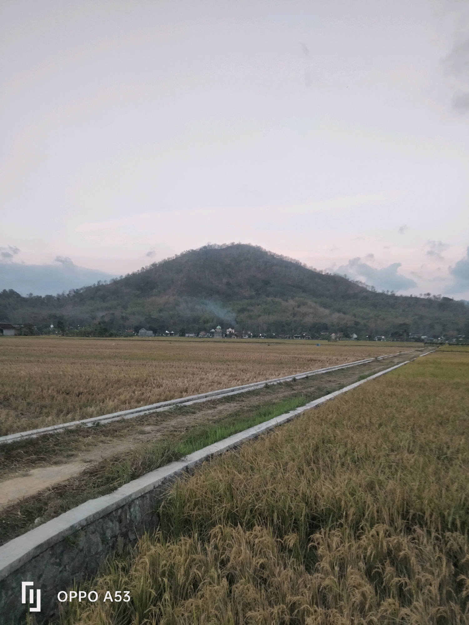 The image depicts a rural landscape in Kelutan, Indonesia, featuring a harvested rice paddy in the foreground with a concrete irrigation channel running through it. Beyond the paddy, a village with scattered houses and a mosque is visible at the base of a verdant, tree-covered hill. The sky is overcast, suggesting either early morning or late afternoon light. The overall scene conveys a peaceful, agricultural atmosphere.